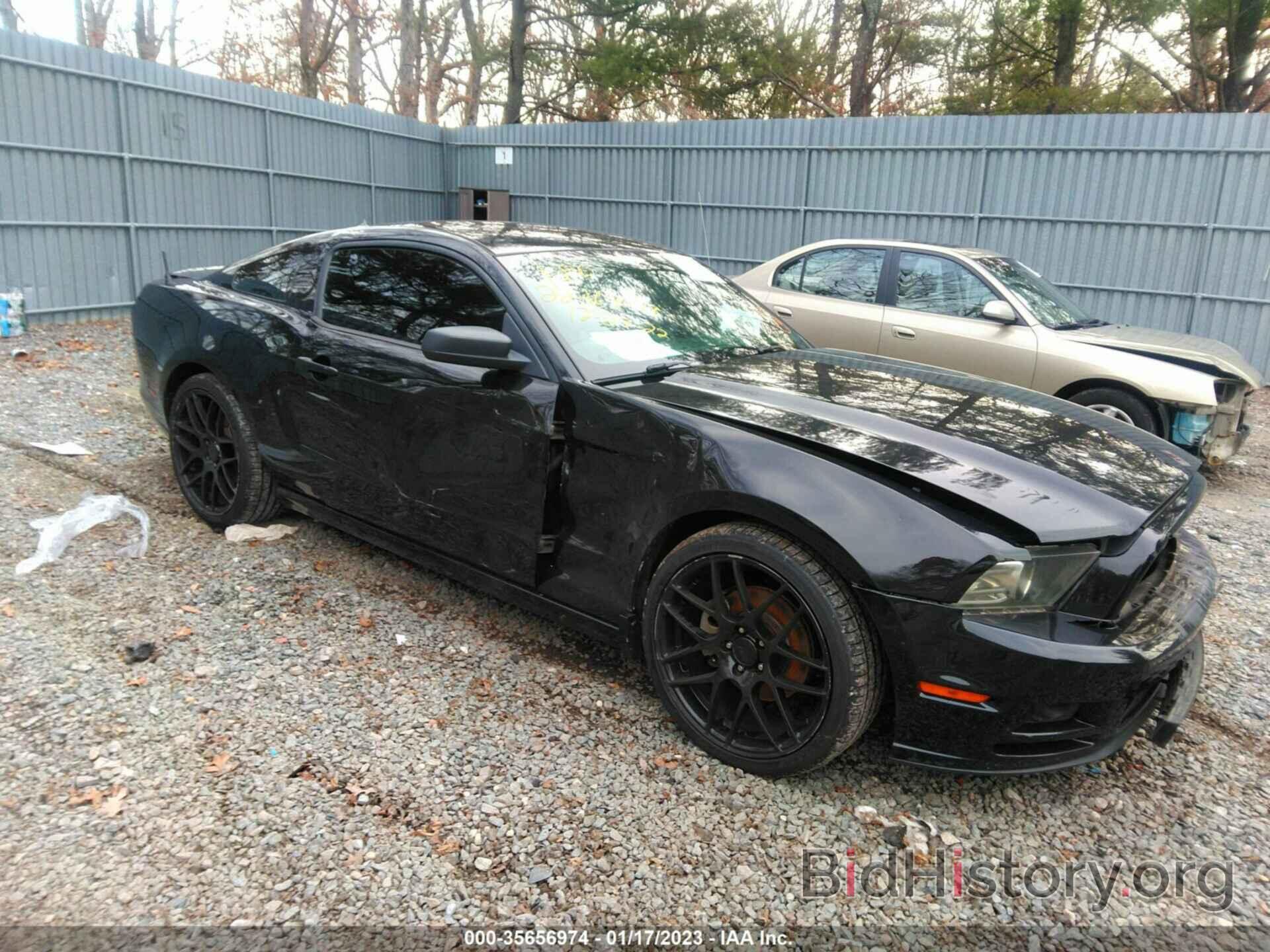 Photo 1ZVBP8AM1E5202793 - FORD MUSTANG 2014