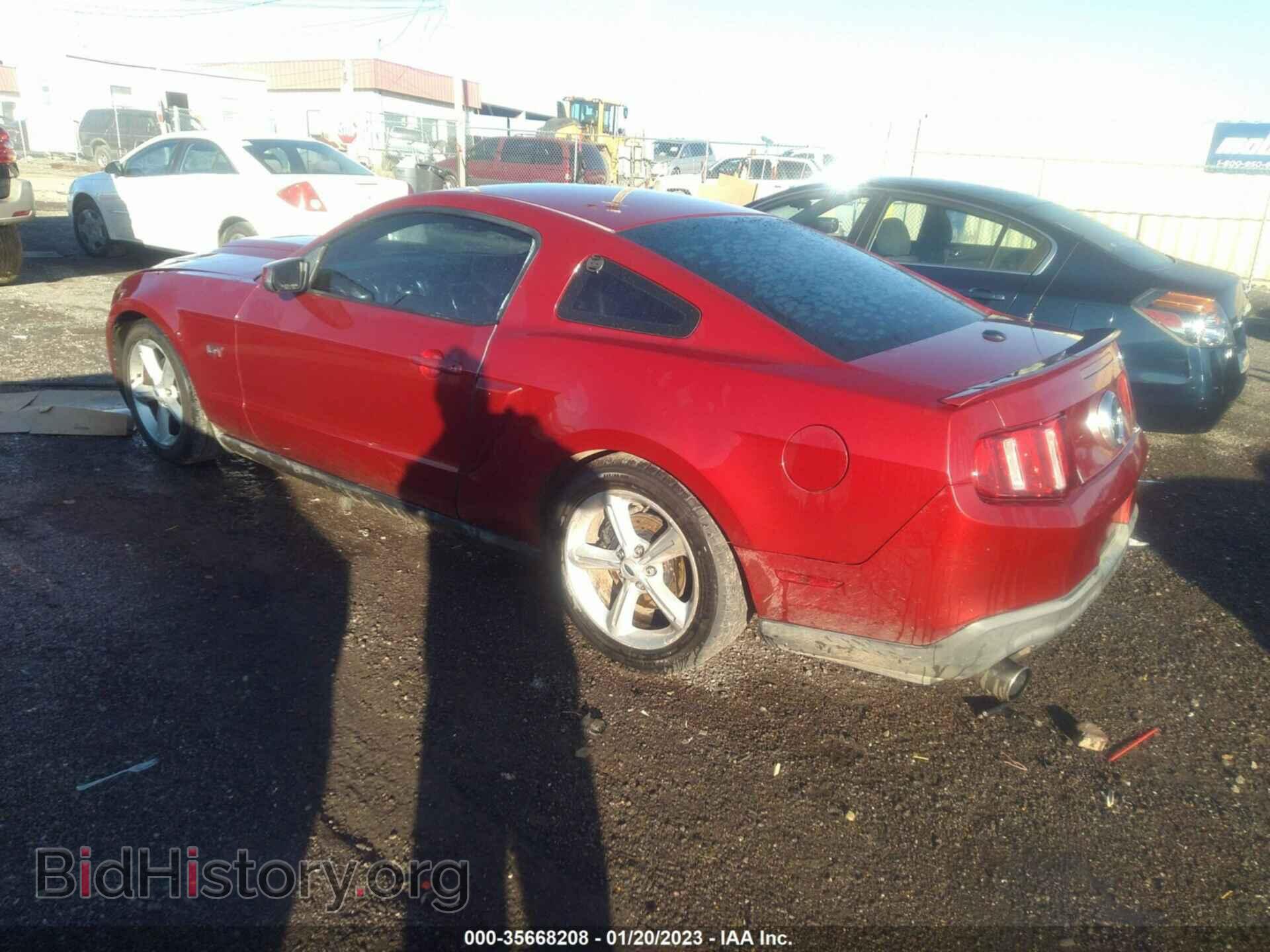 2010 FORD MUSTANG - VIN: 1ZVBP8CH9A5117033 - Фото 3