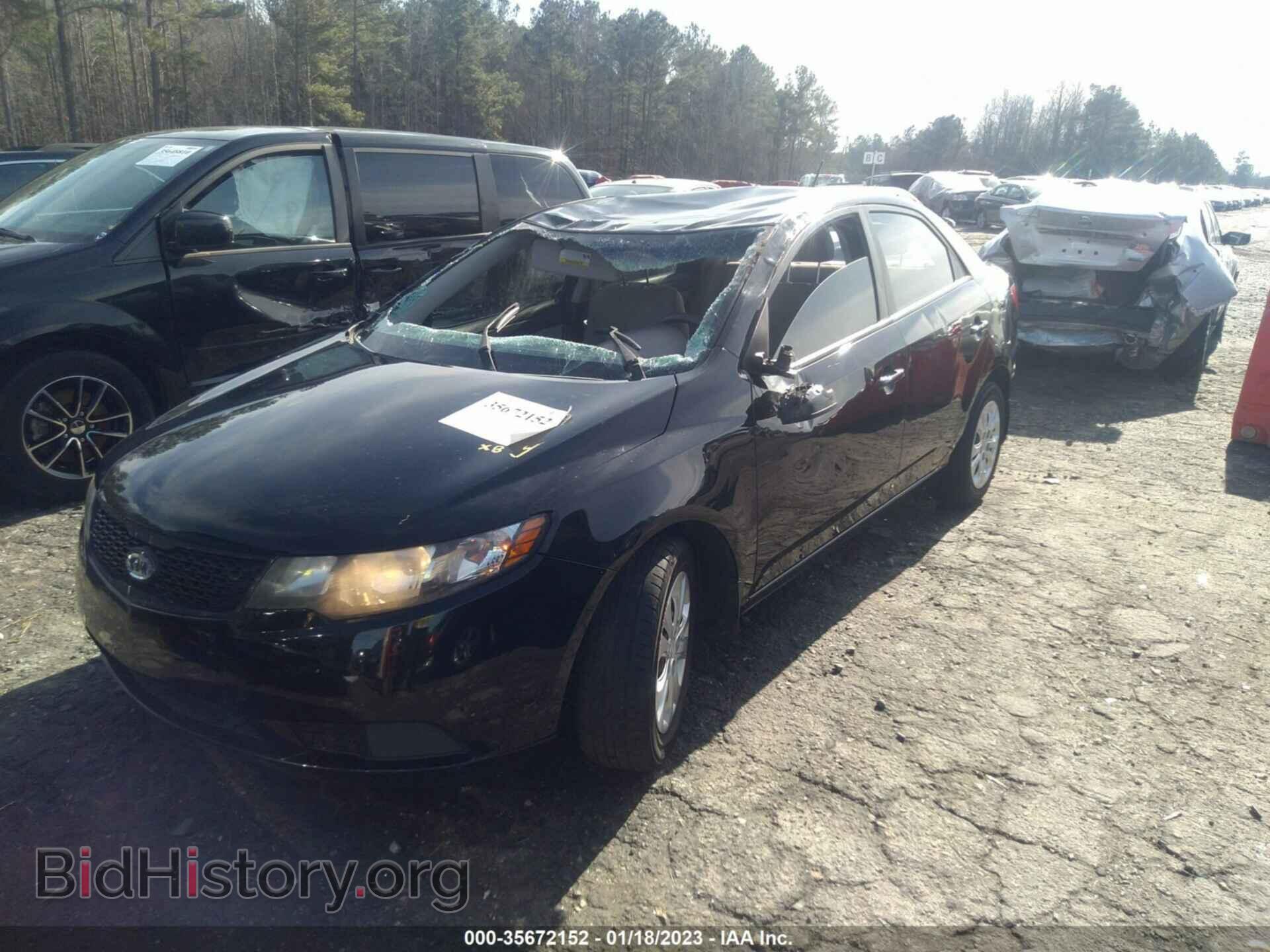 2013 KIA FORTE - VIN: KNAFT4A24D5722117 - Фото 2
