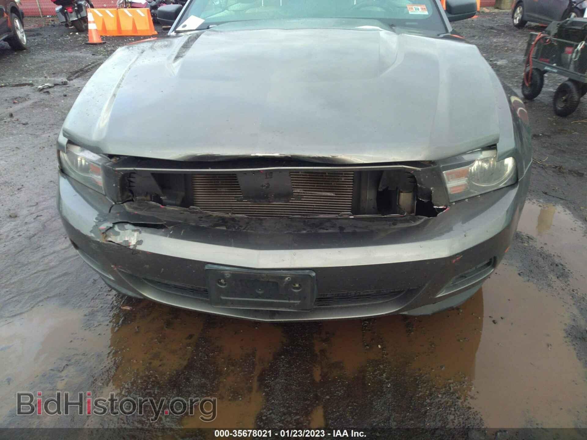 2011 FORD MUSTANG - VIN: 1ZVBP8EM6B5117910 - Фото 6