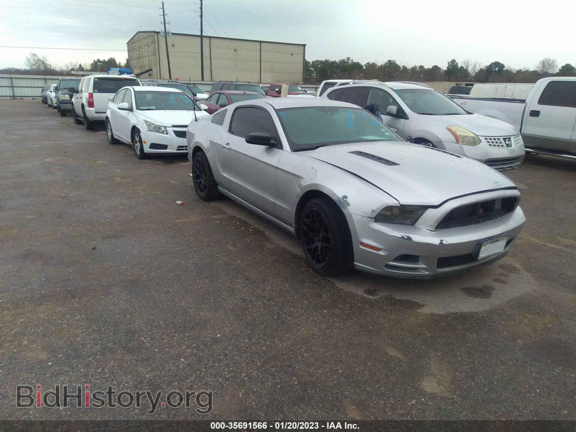 Фотография 1ZVBP8AM8D5243257 - FORD MUSTANG 2013