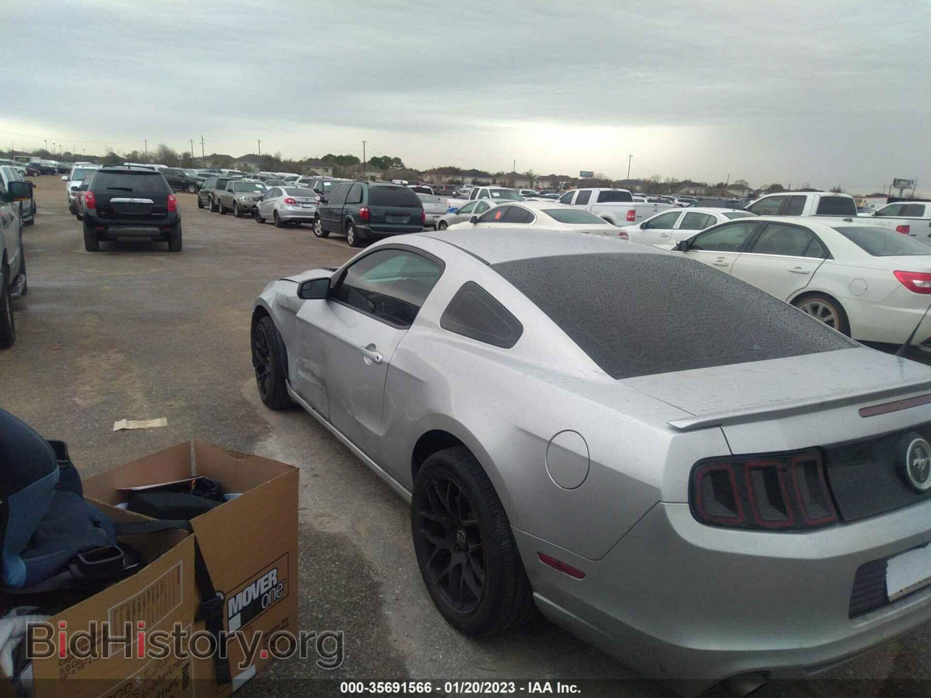 2013 FORD MUSTANG - VIN: 1ZVBP8AM8D5243257 - Фото 3