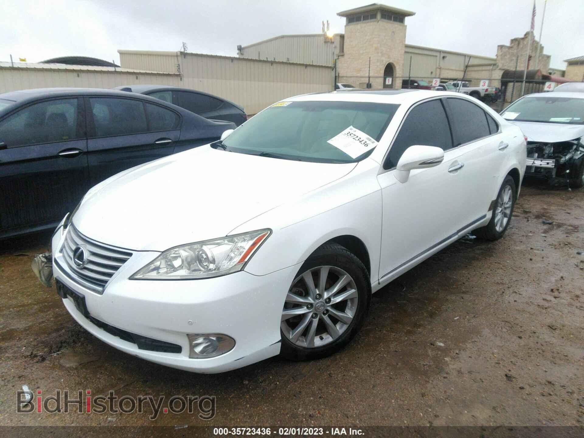 2010 LEXUS ES 350 - VIN: JTHBK1EG6A2401359 - Фото 2