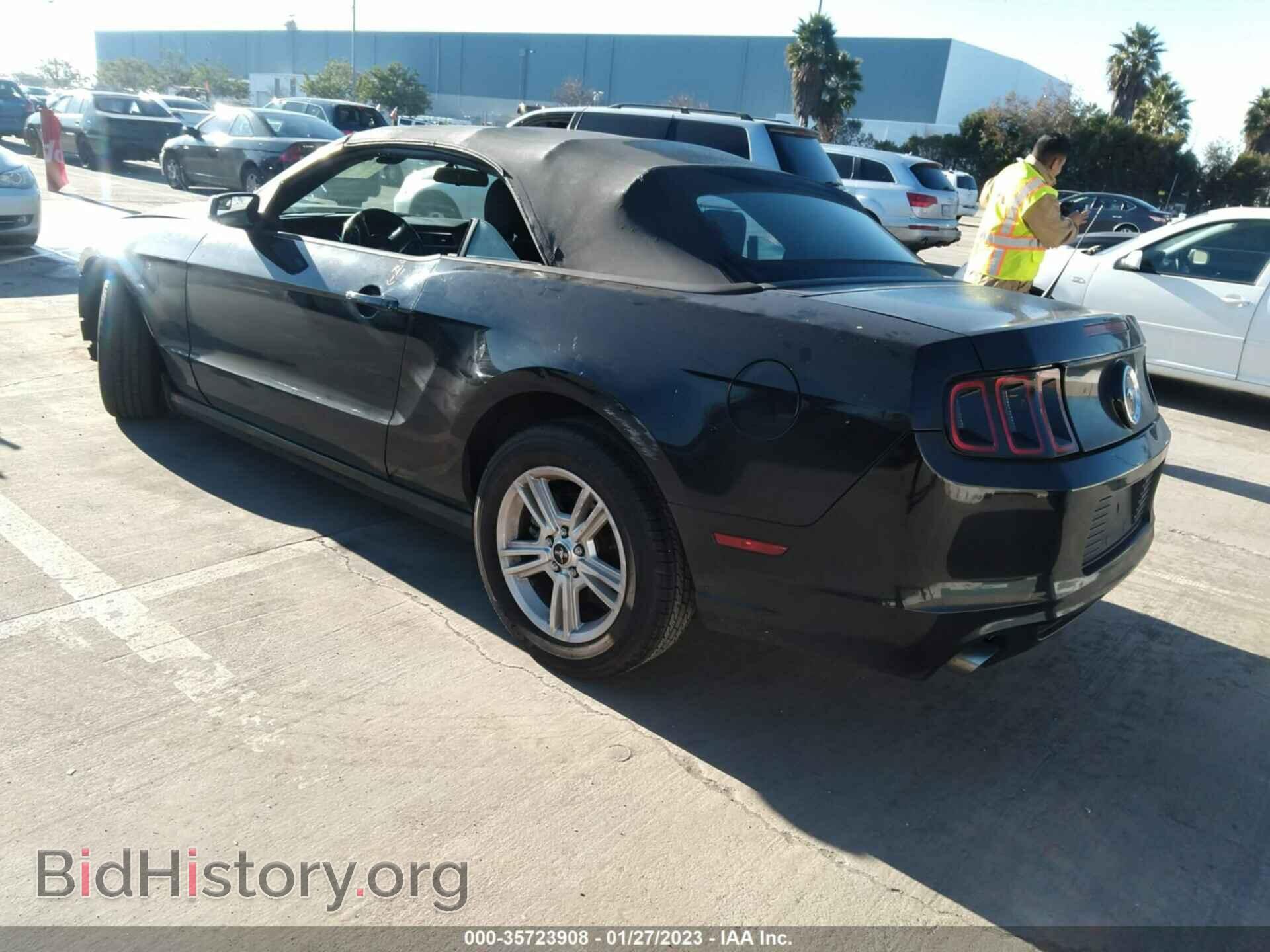 2013 FORD MUSTANG - VIN: 1ZVBP8EM2D5260212 - Фото 3