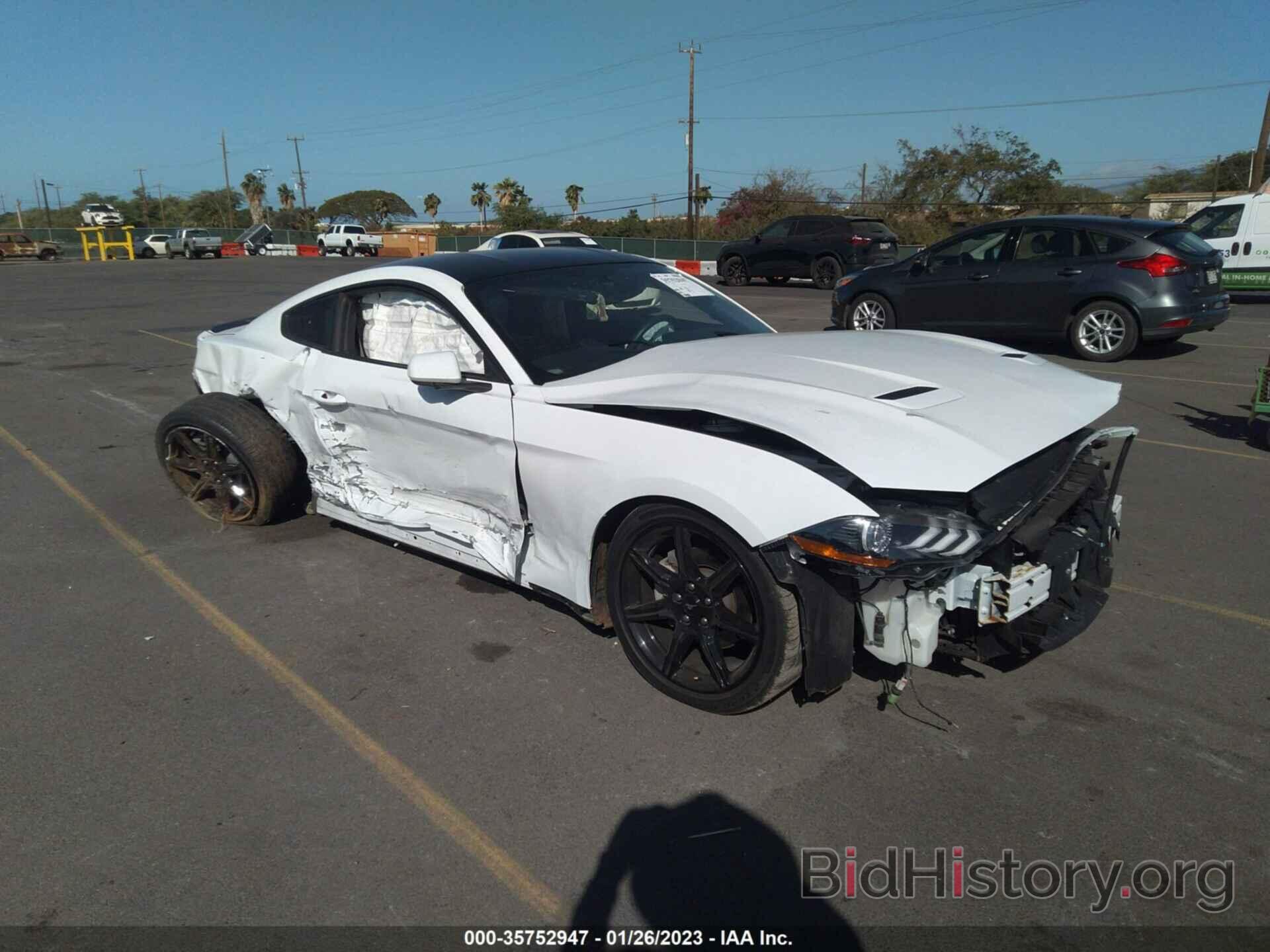 Photo 1FA6P8TH9K5169600 - FORD MUSTANG 2019
