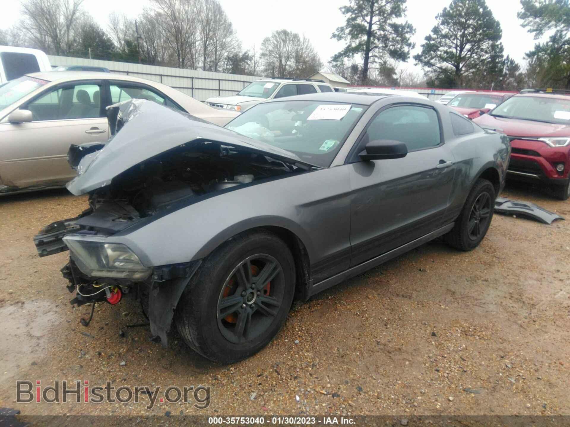 2013 FORD MUSTANG - VIN: 1ZVBP8AM7D5228328 - Фото 2