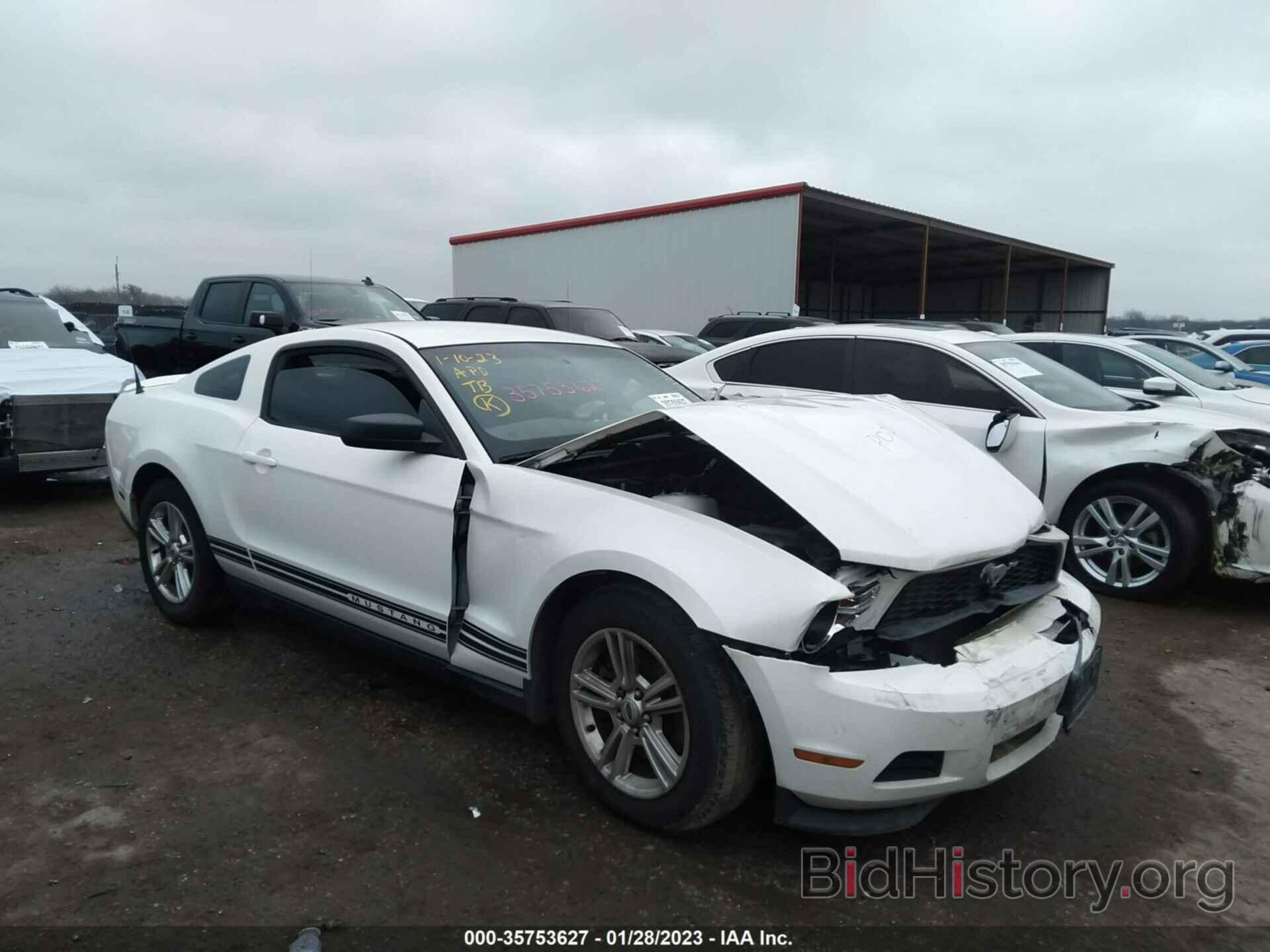 Photo 1ZVBP8AM0C5272296 - FORD MUSTANG 2012