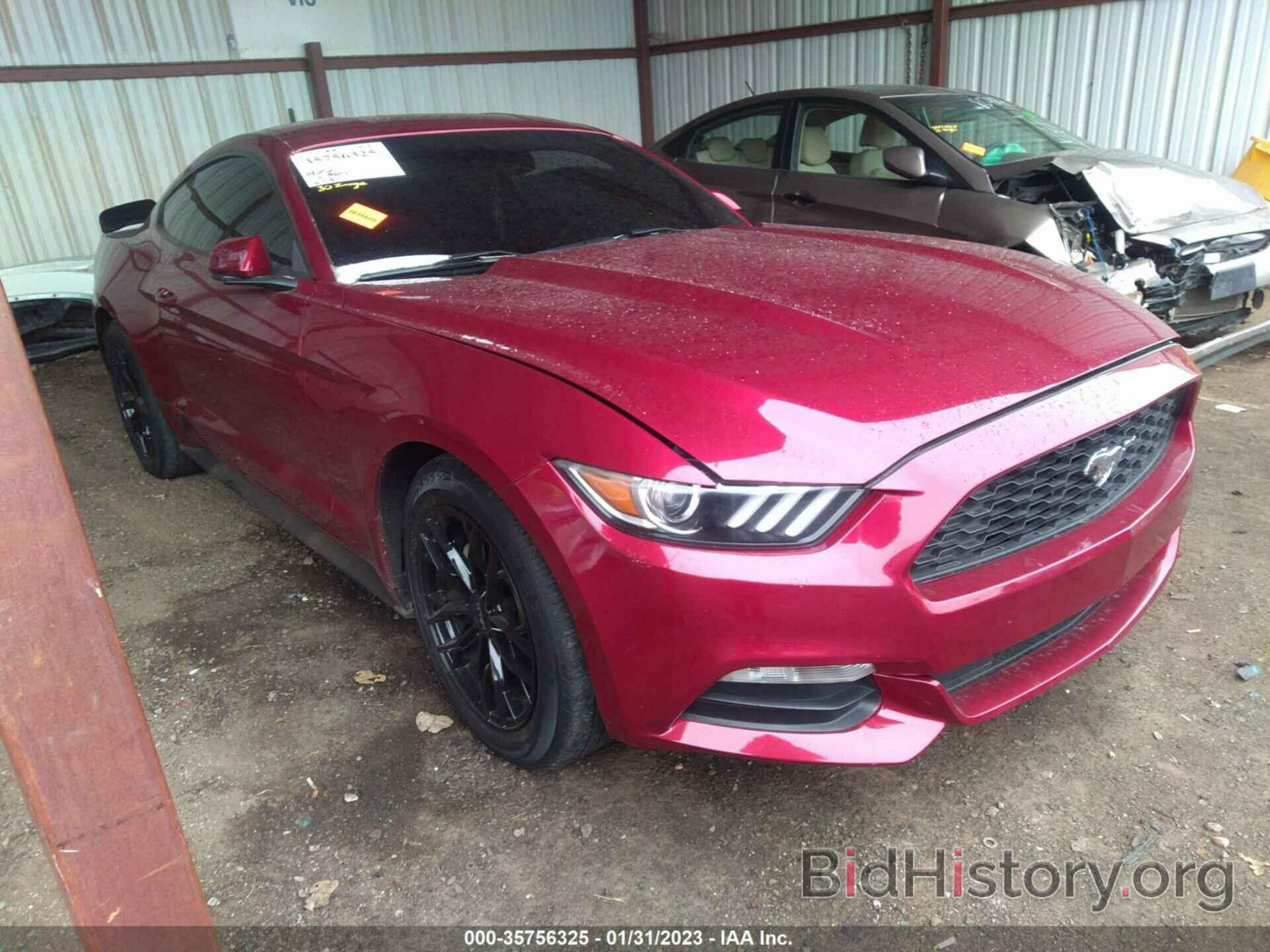 Photo 1FA6P8AM7F5300643 - FORD MUSTANG 2015