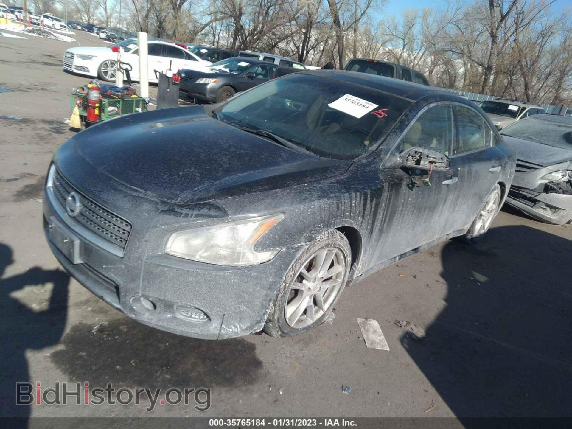 2010 NISSAN MAXIMA - VIN: 1N4AA5AP1AC819048 - Фото 2