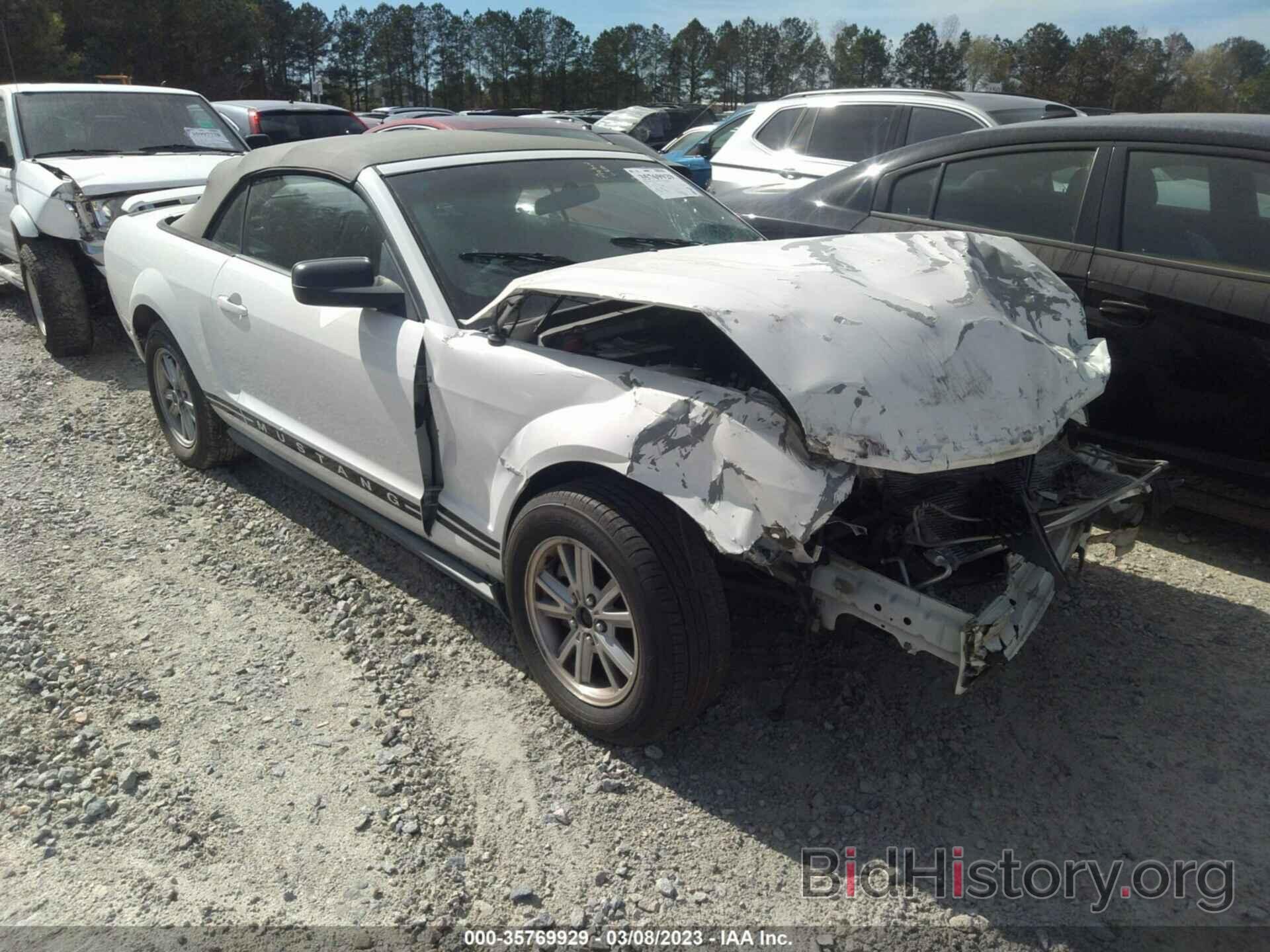 Photo 1ZVHT84N165122583 - FORD MUSTANG 2006