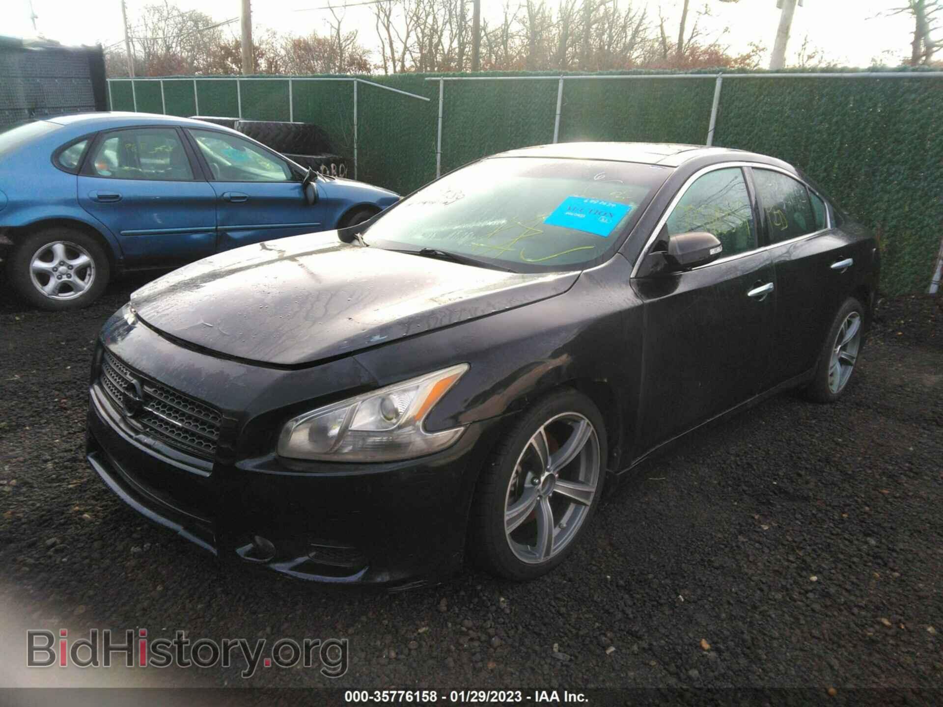 2010 NISSAN MAXIMA - VIN: 1N4AA5AP1AC809815 - Фото 2