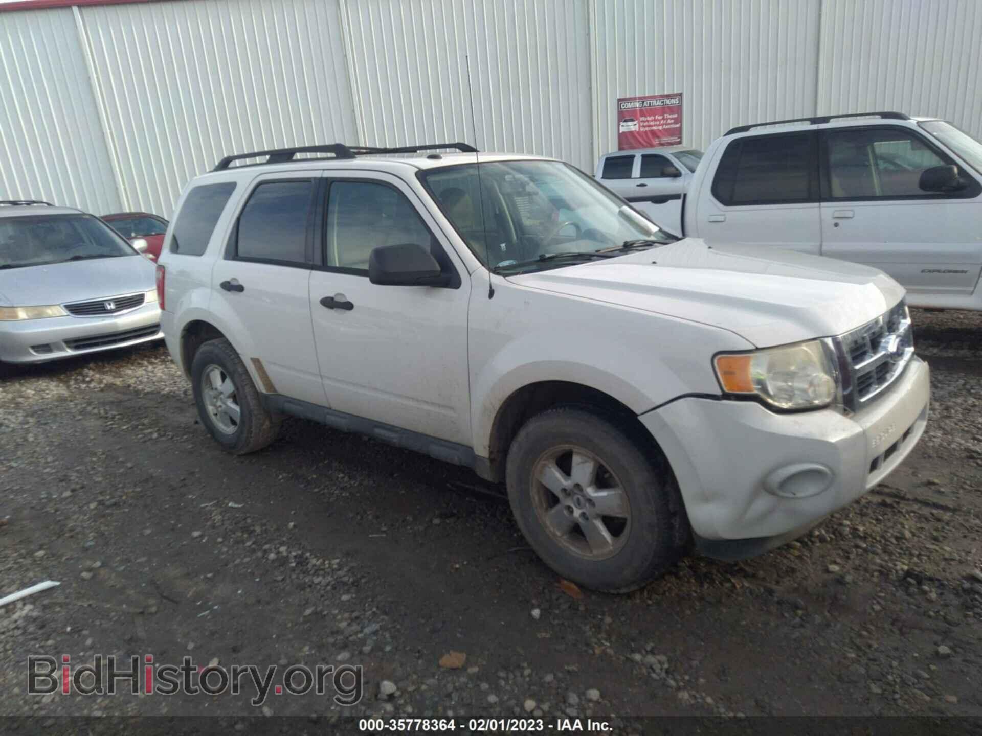 Photo 1FMCU0D76BKC21582 - FORD ESCAPE 2011