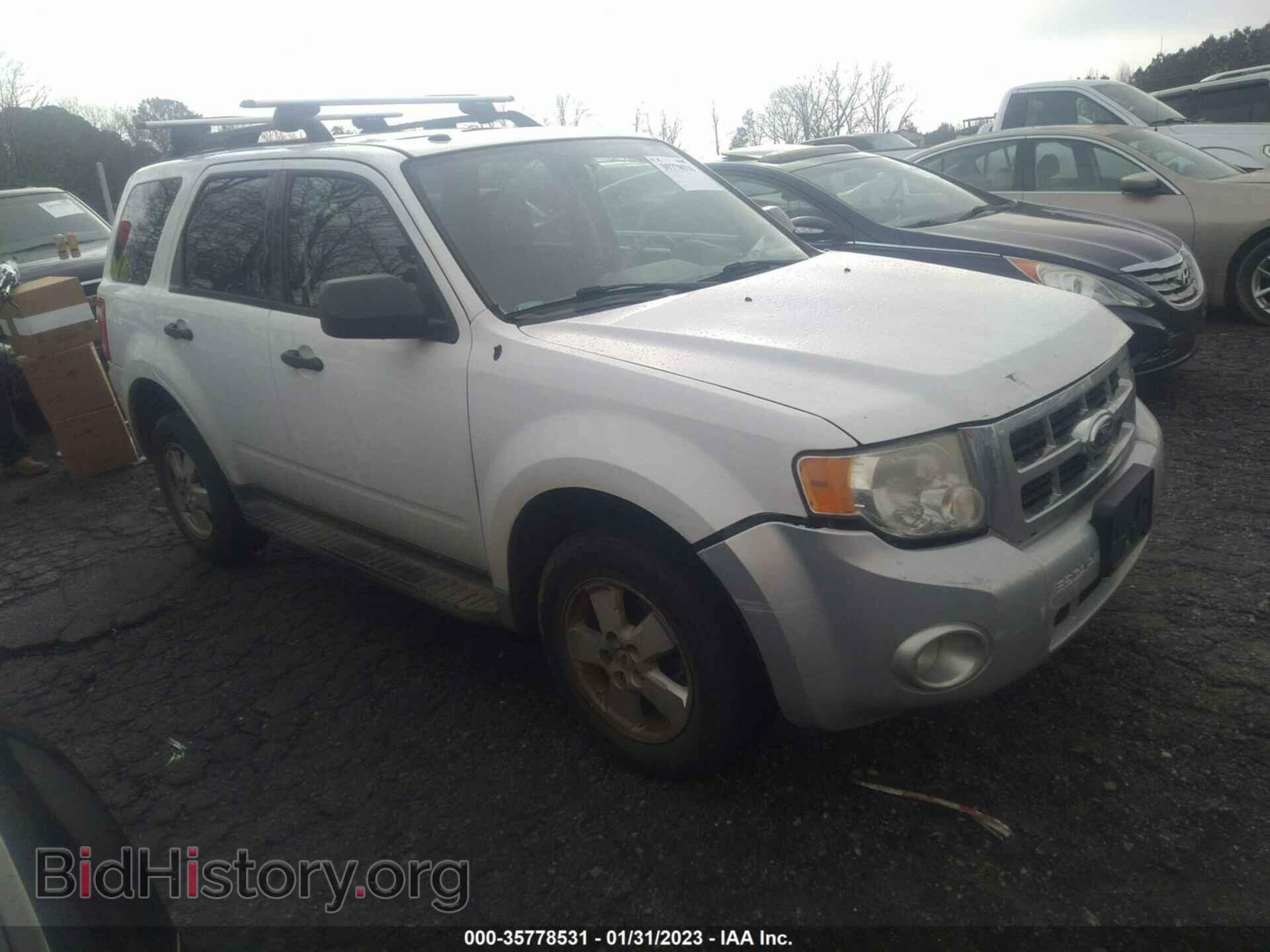 Photo 1FMCU0D74BKB99100 - FORD ESCAPE 2011