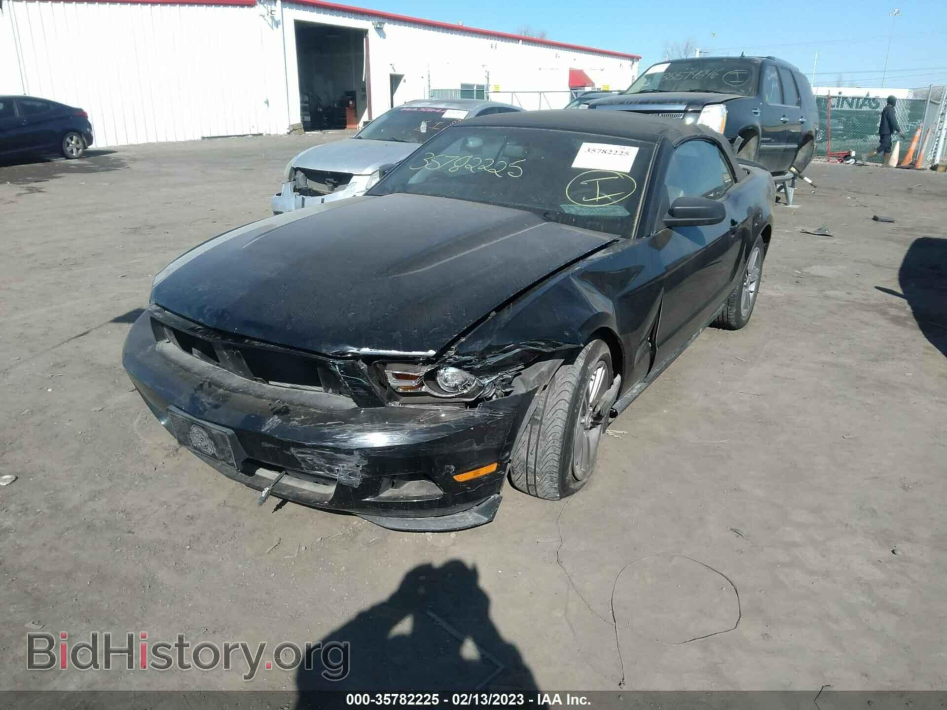 2010 FORD MUSTANG - VIN: 1ZVBP8EN6A5111824 - Фото 6