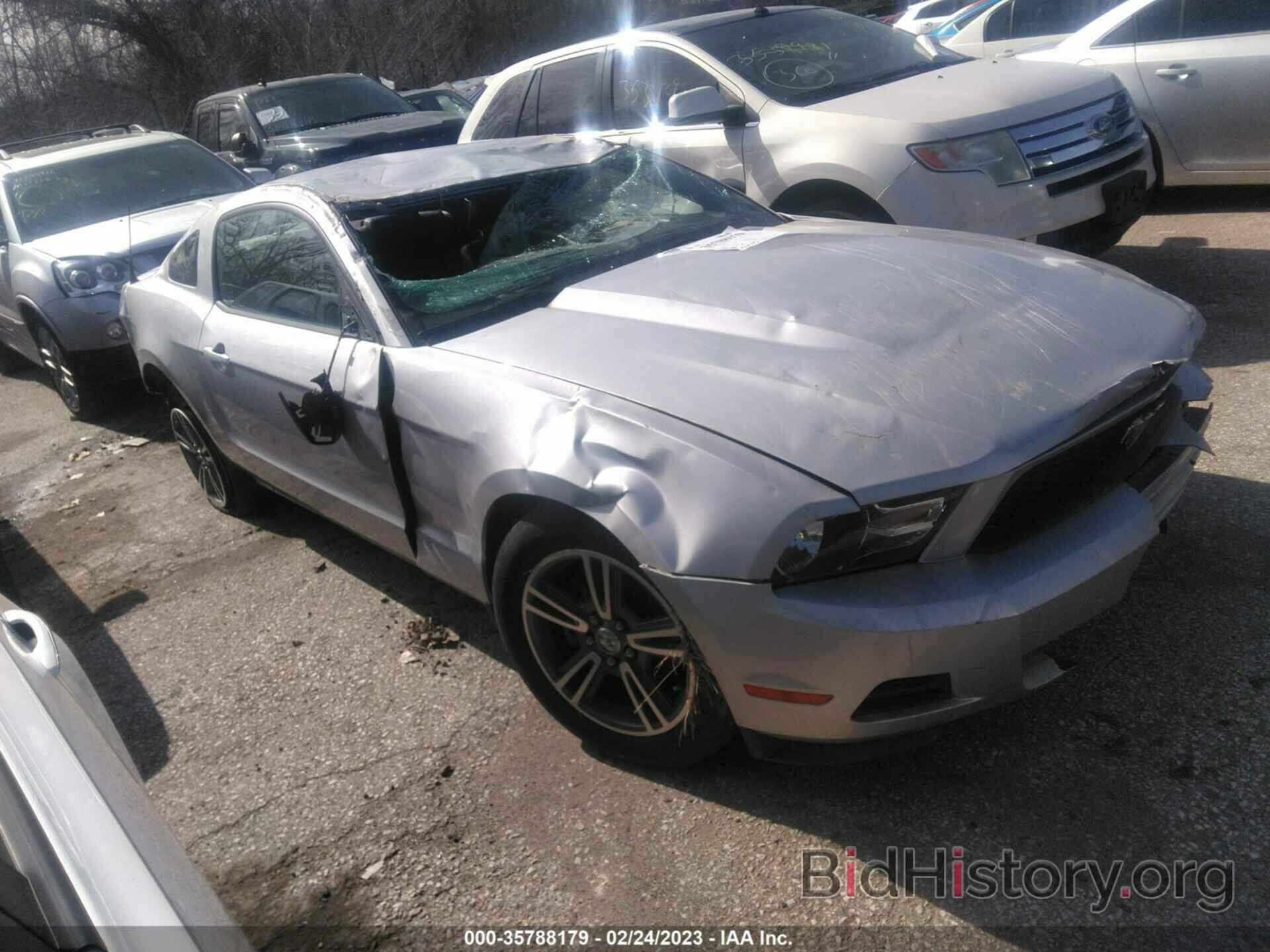 Photo 1ZVBP8AN6A5176775 - FORD MUSTANG 2010