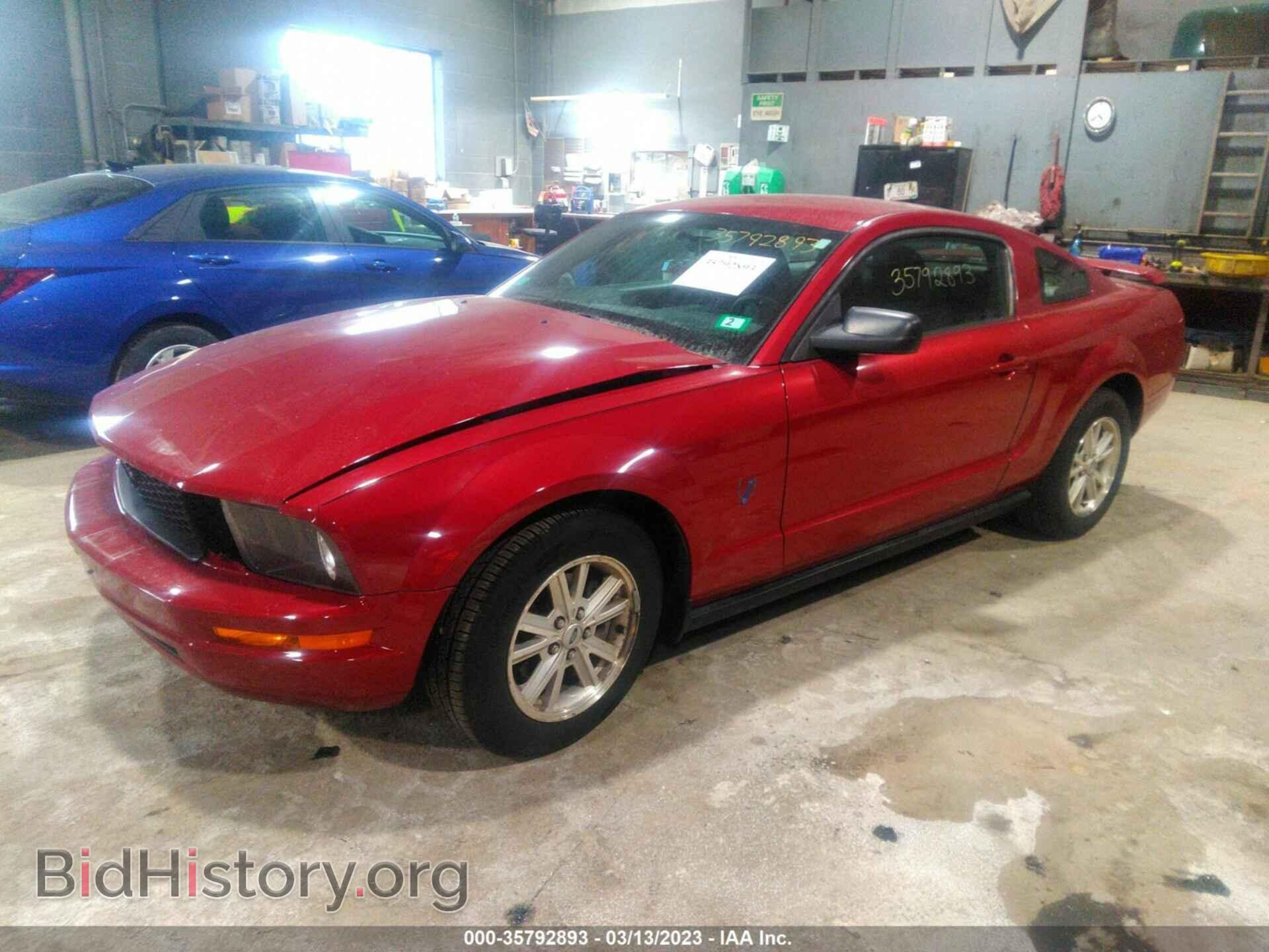 2009 FORD MUSTANG - VIN: 1ZVHT80N095123010 - Фото 2