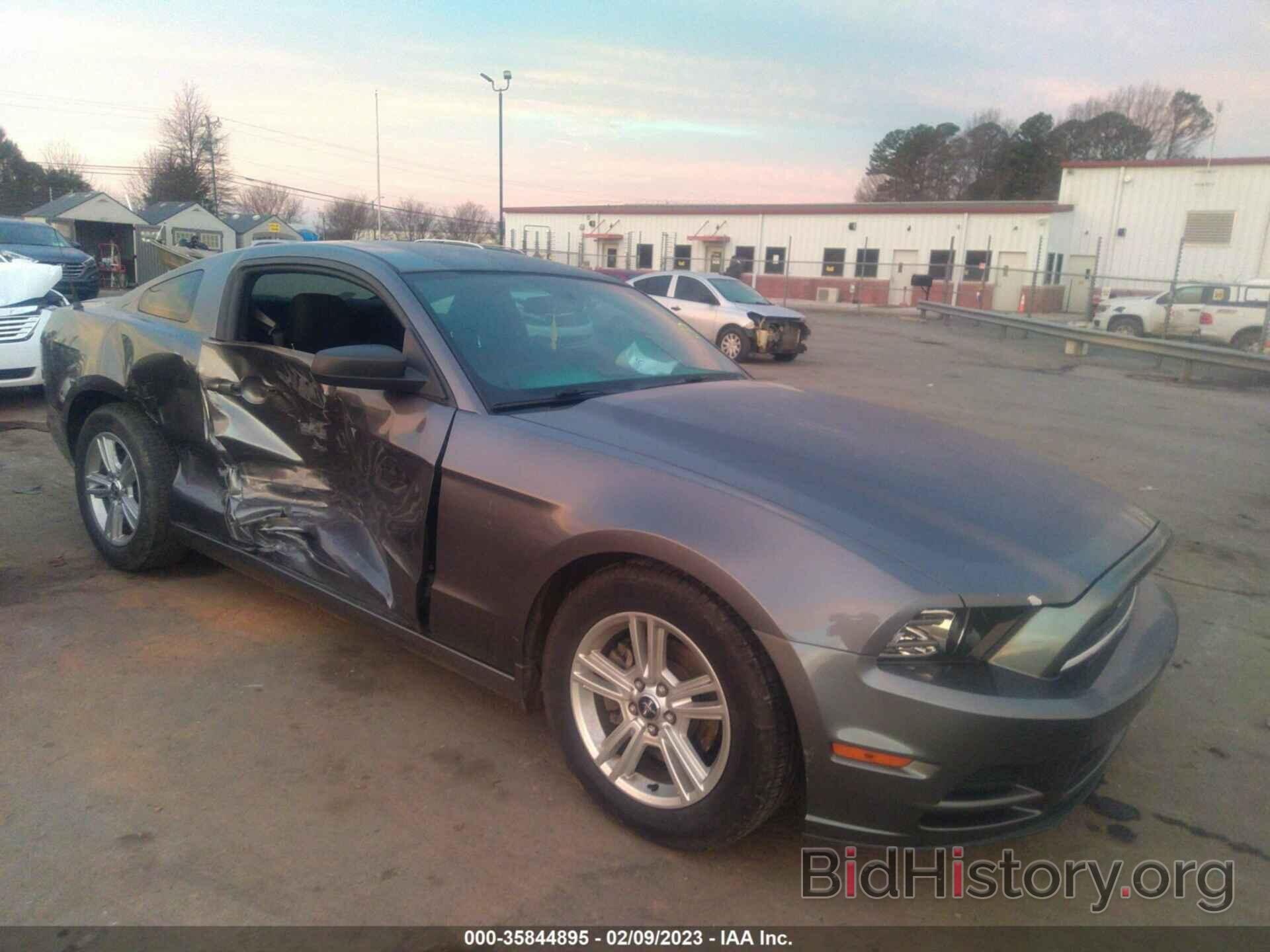 Photo 1ZVBP8AM2D5281017 - FORD MUSTANG 2013