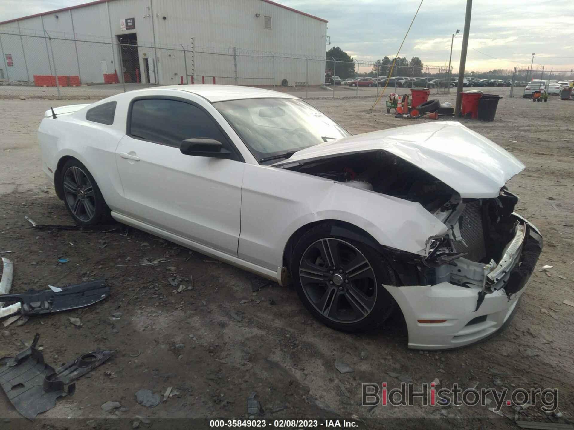 Photo 1ZVBP8AM3D5263495 - FORD MUSTANG 2013