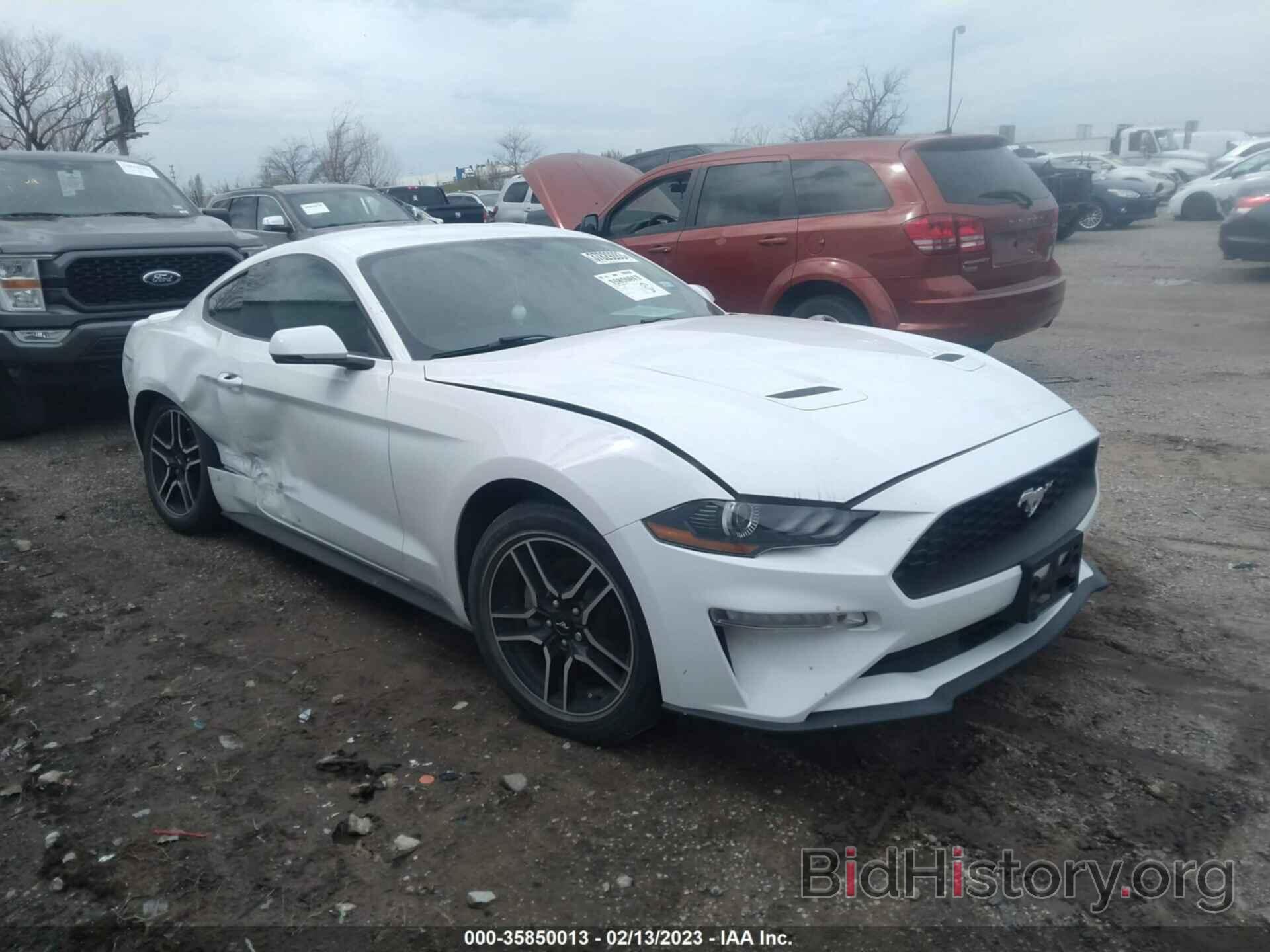 Photo 1FA6P8TH2K5194404 - FORD MUSTANG 2019