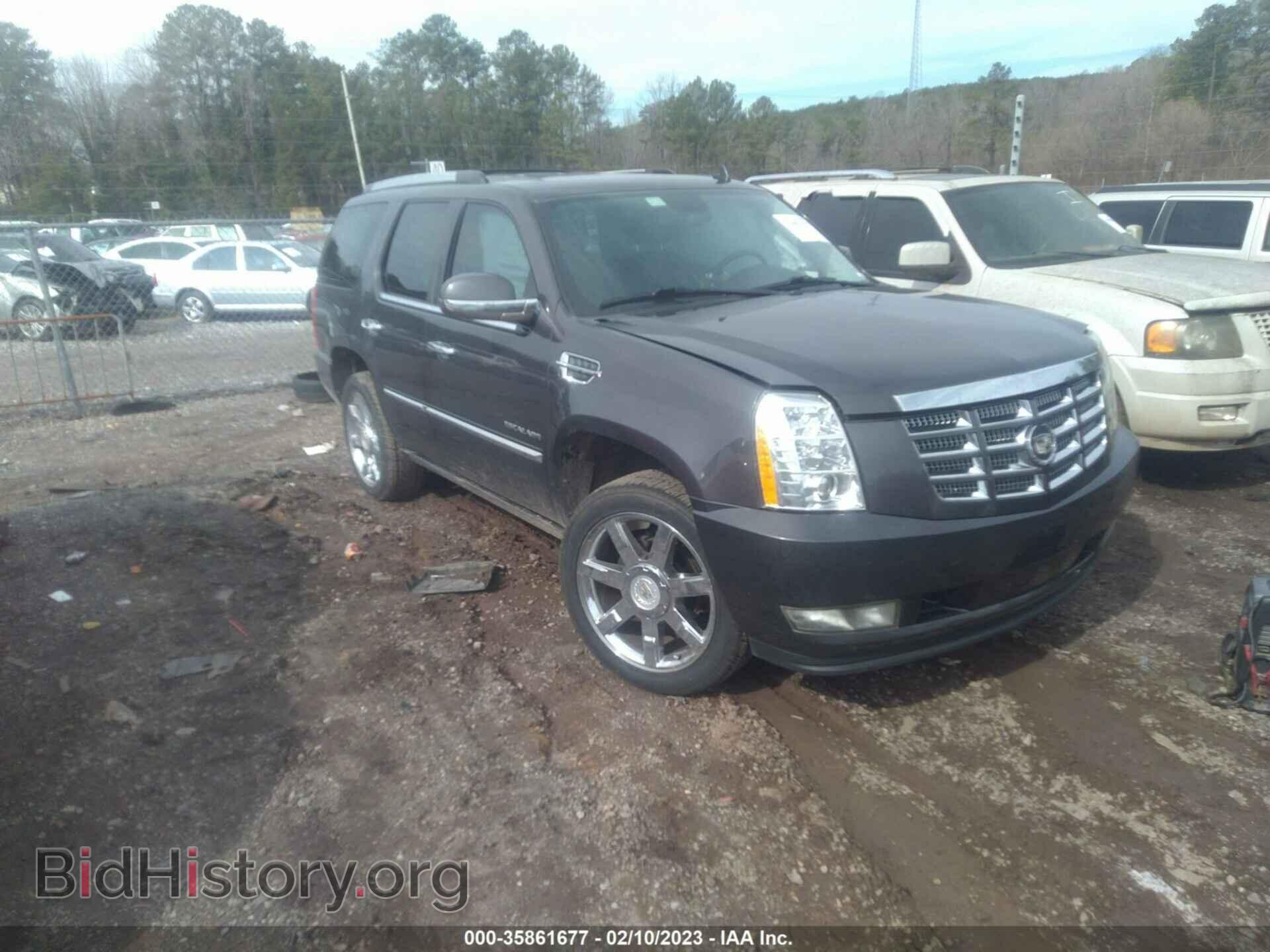 Фотография 1GYS3CEF8BR181615 - CADILLAC ESCALADE 2011