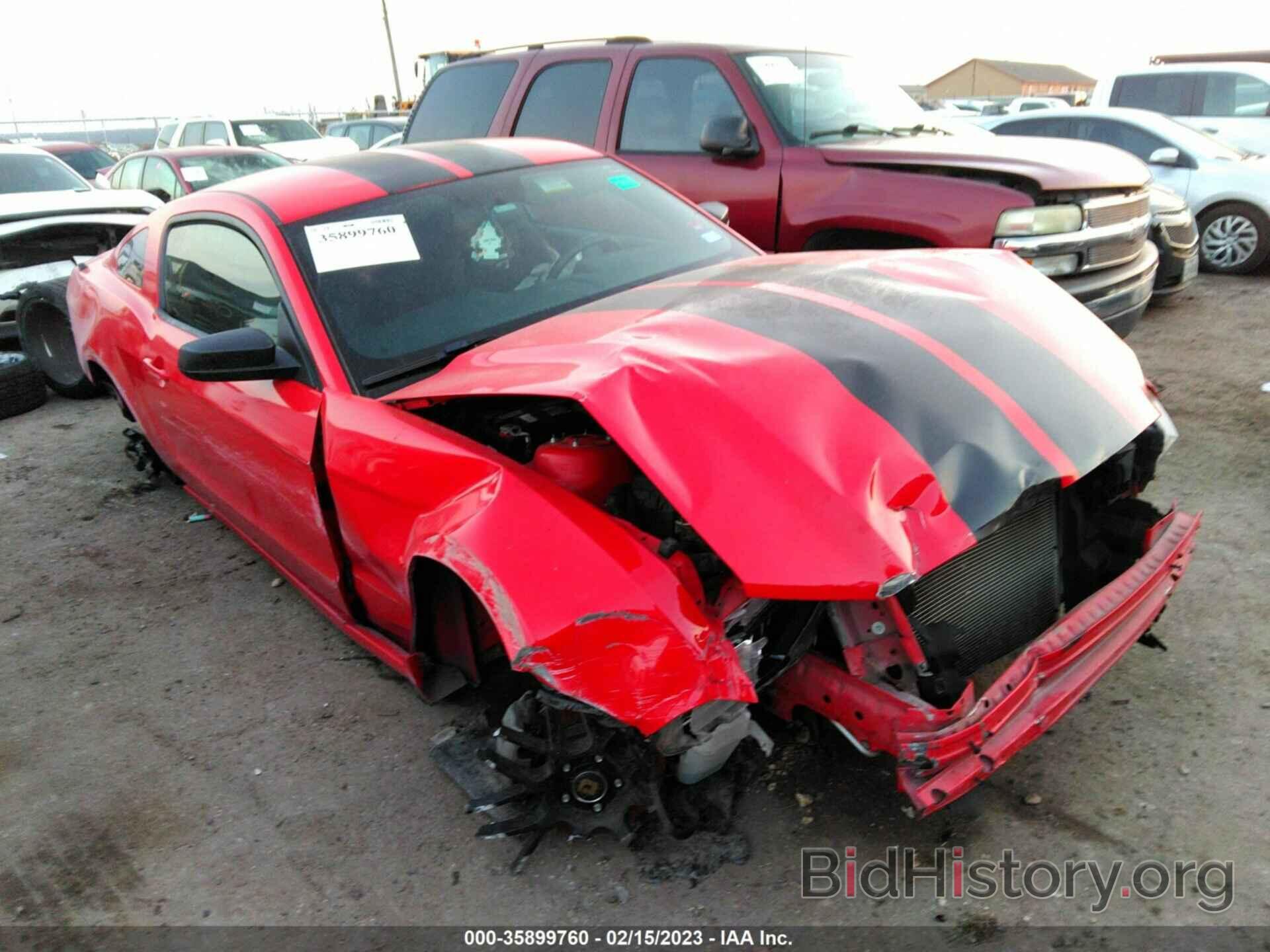Photo 1ZVBP8AM2E5302174 - FORD MUSTANG 2014