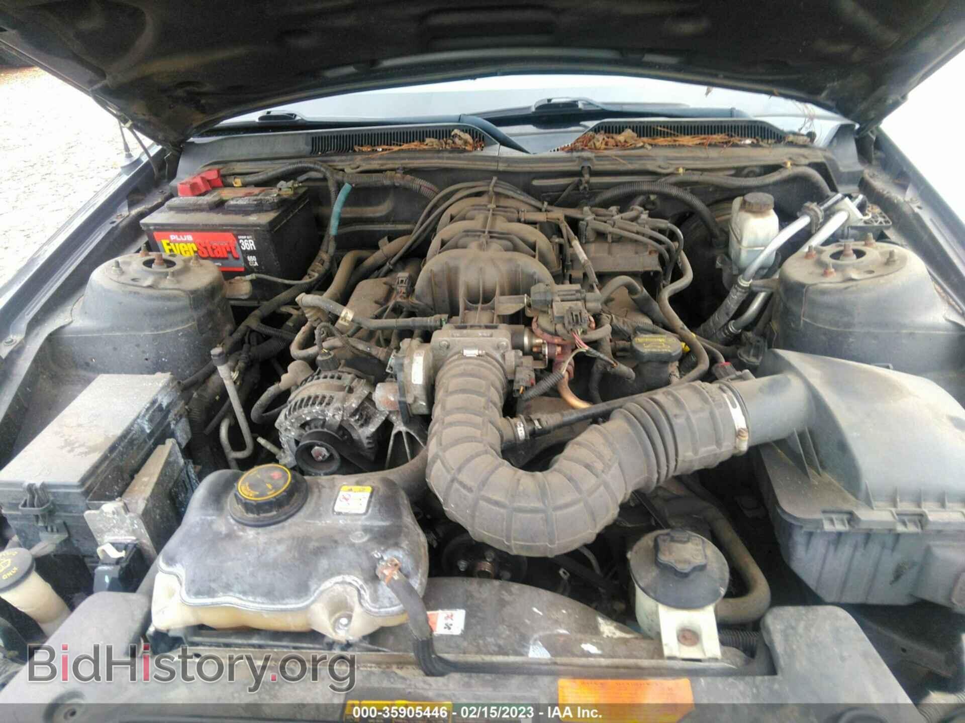 2009 FORD MUSTANG - VIN: 1ZVHT80N595109278 - Фото 10