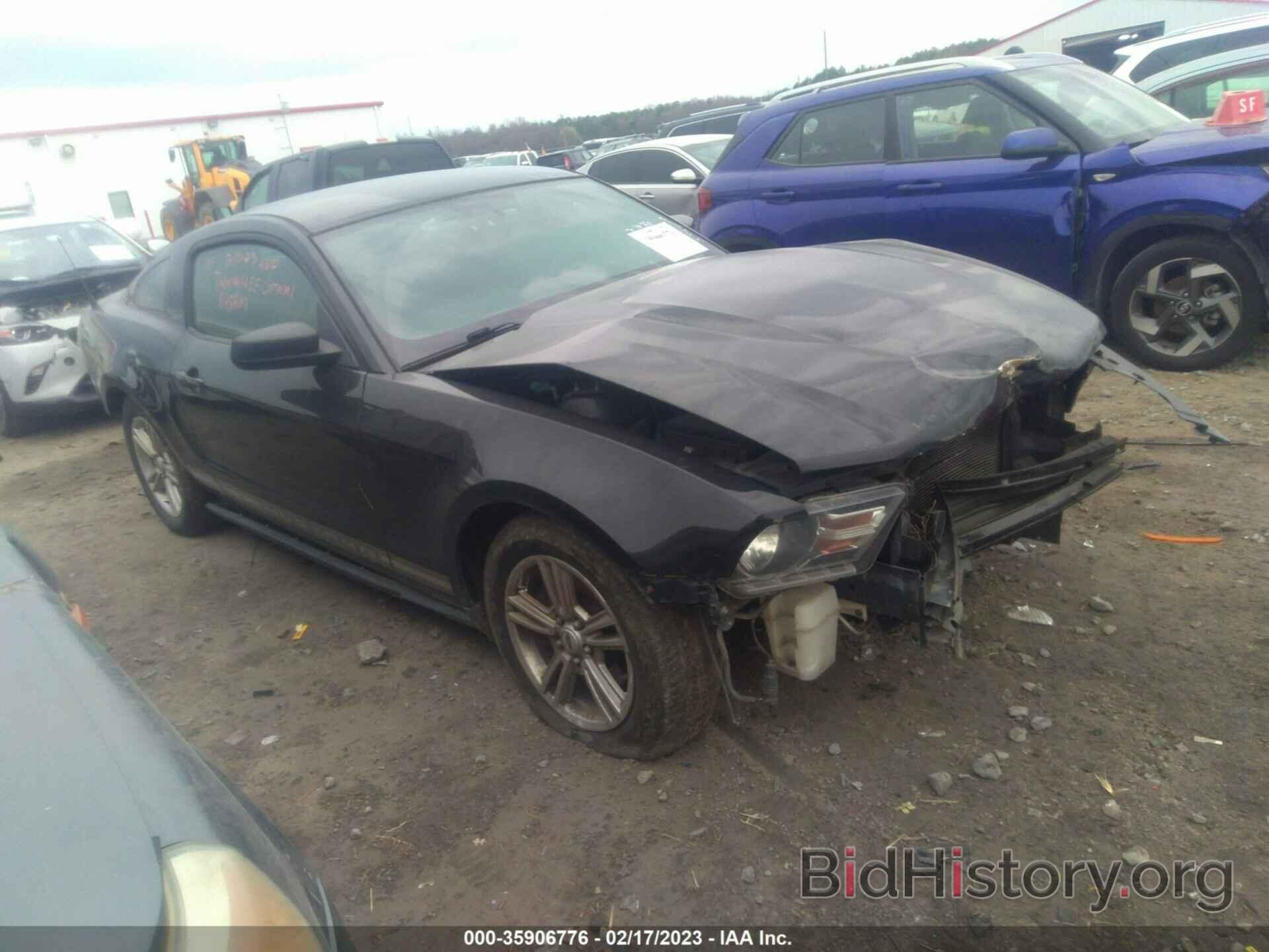 Photo 1ZVBP8AM2C5208812 - FORD MUSTANG 2012