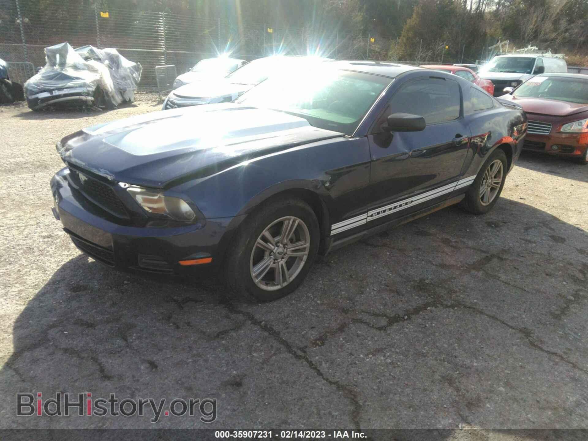 2010 FORD MUSTANG - VIN: 1ZVBP8AN0A5156134 - Фото 2