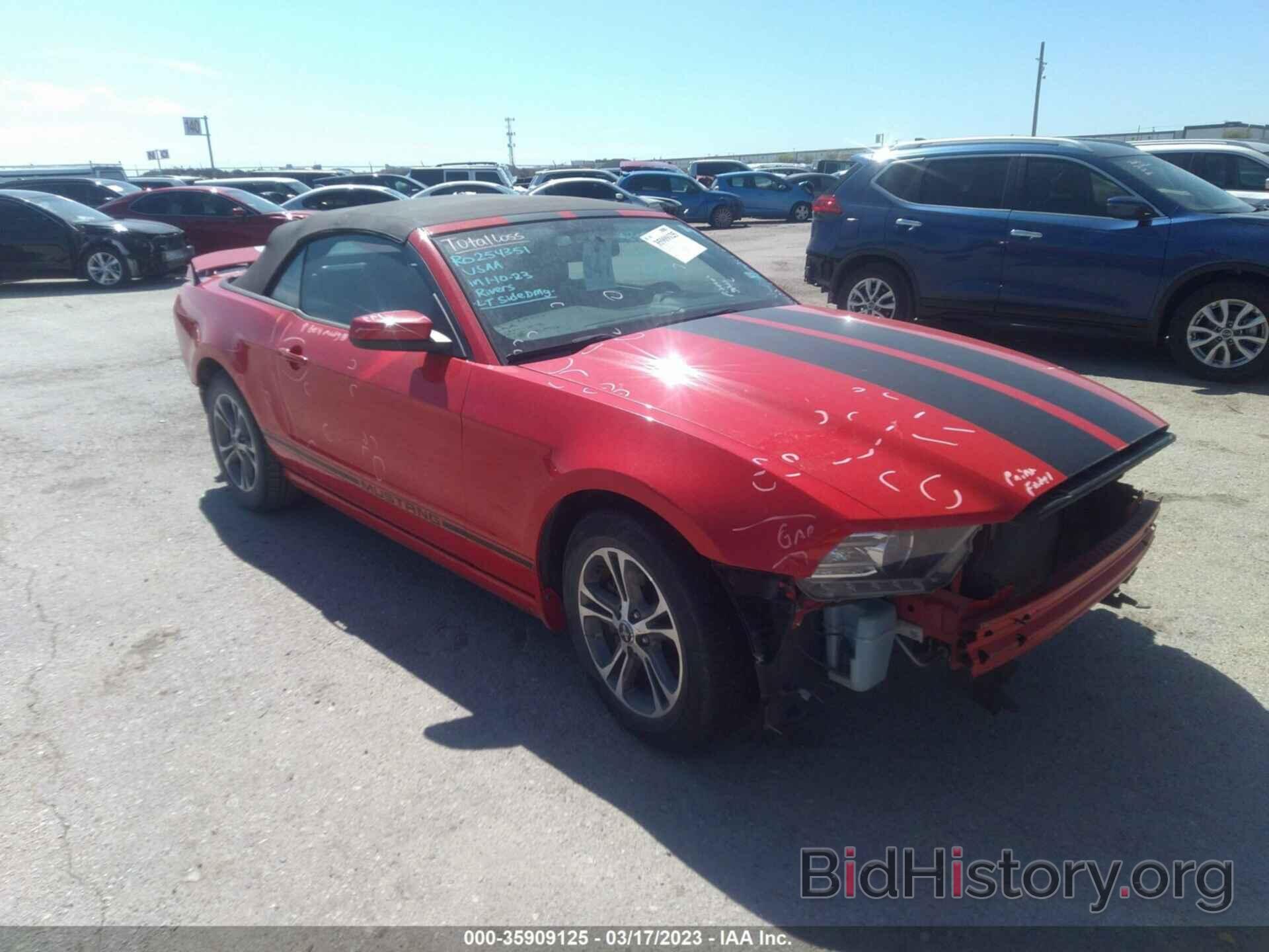 Photo 1ZVBP8EMXE5304703 - FORD MUSTANG 2014