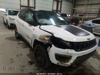 2017 Jeep COMPASS Trailhawk, белый — VIN 3C4NJDDB2HT635337, IAAI