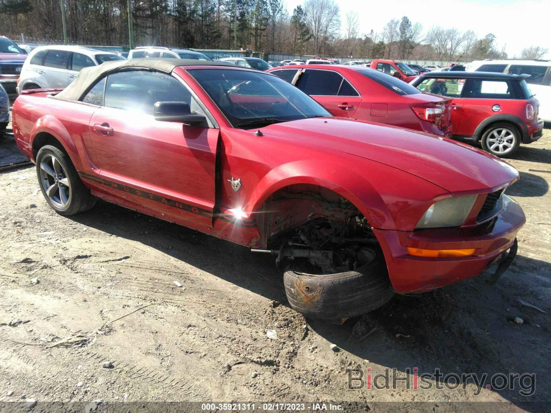 Photo 1ZVHT84N195107425 - FORD MUSTANG 2009