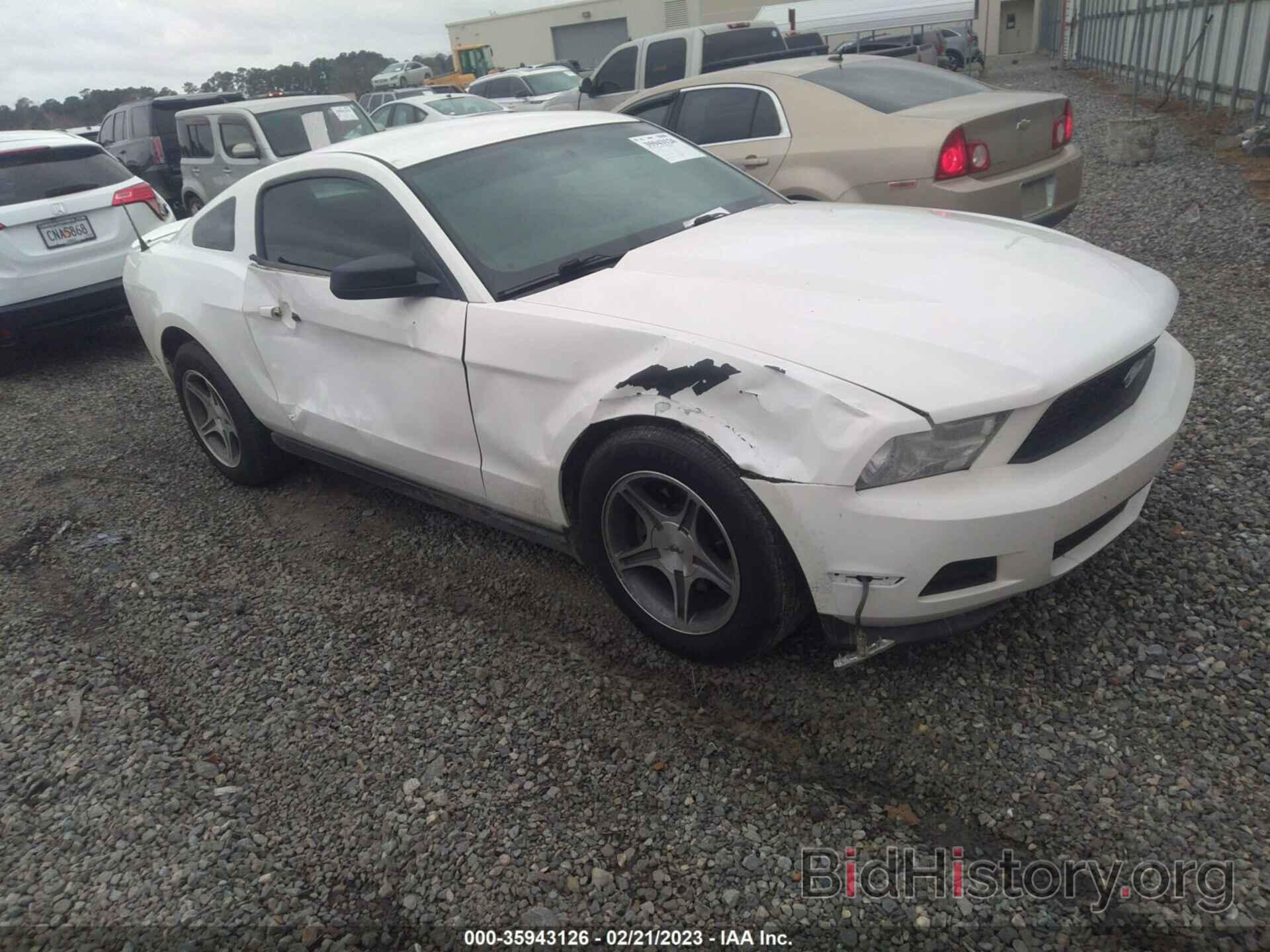 Photo 1ZVBP8AM7C5267077 - FORD MUSTANG 2012