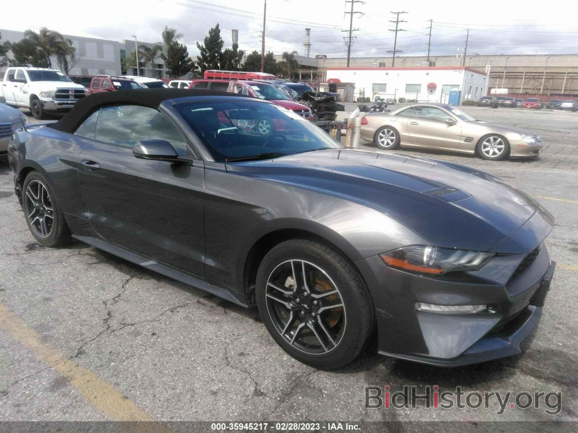 Photo 1FATP8UH7K5171895 - FORD MUSTANG 2019