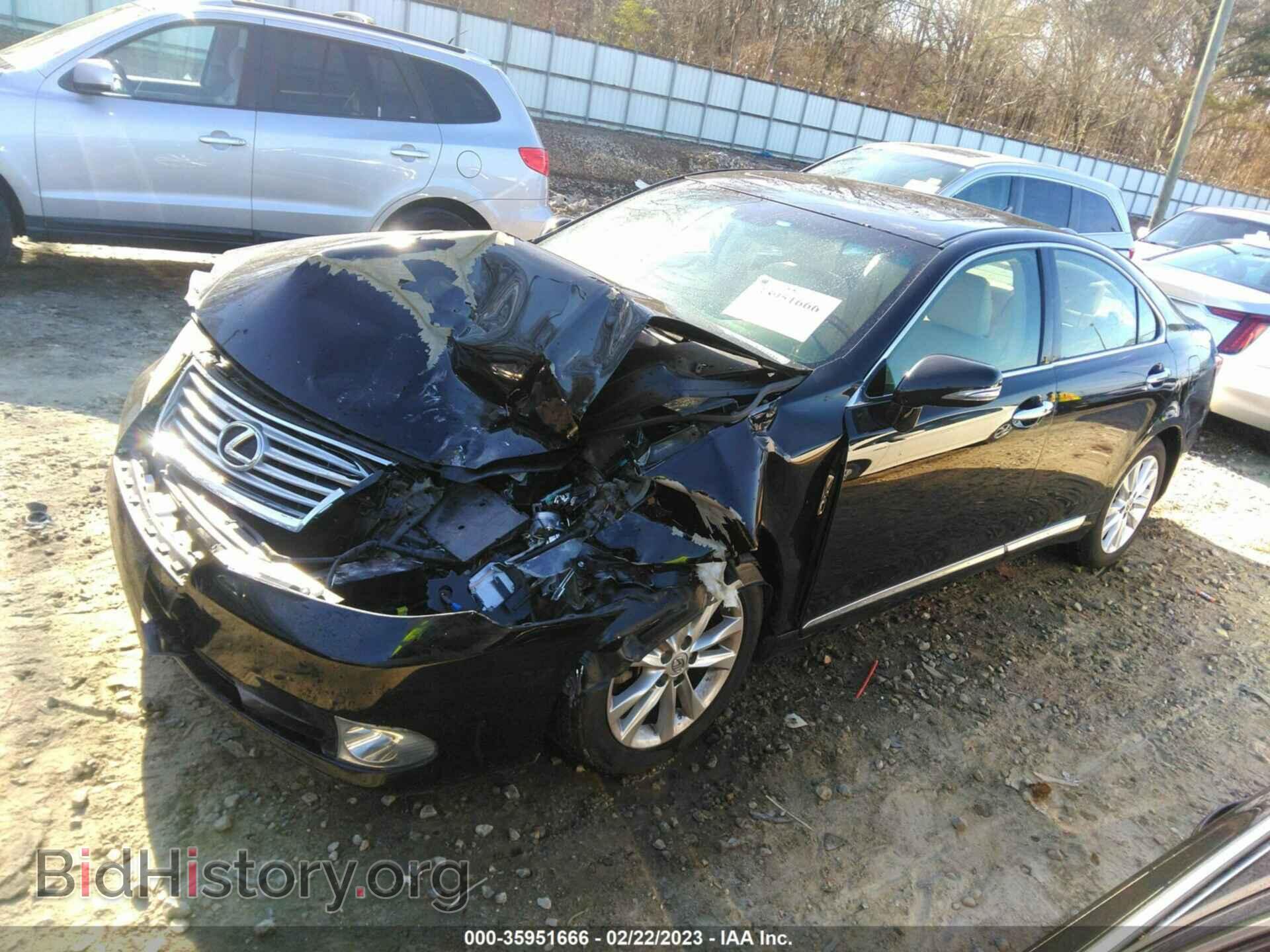 2010 LEXUS ES 350 - VIN: JTHBK1EG7A2352334 - Фото 2
