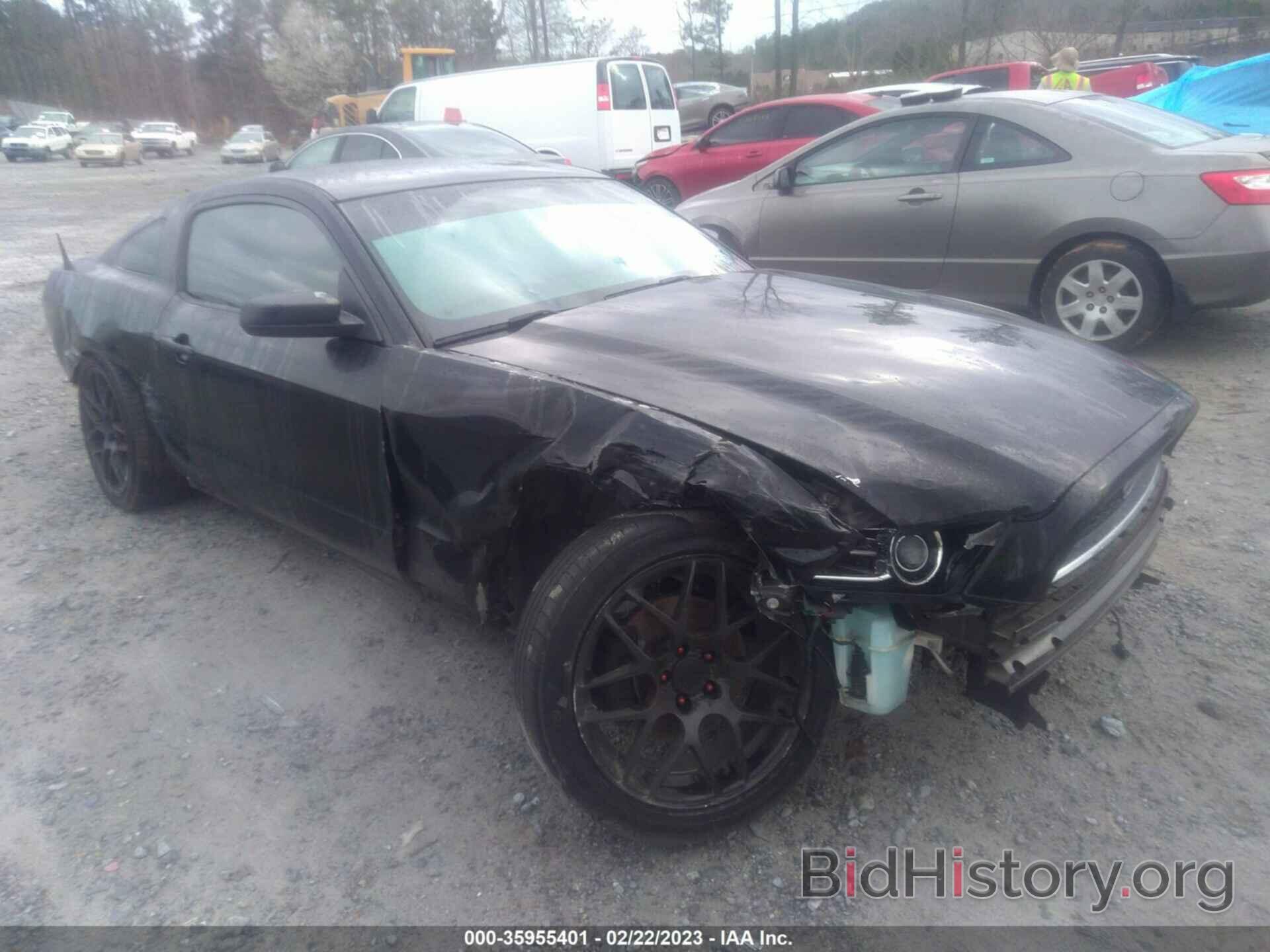 Photo 1ZVBP8AM0E5298061 - FORD MUSTANG 2014