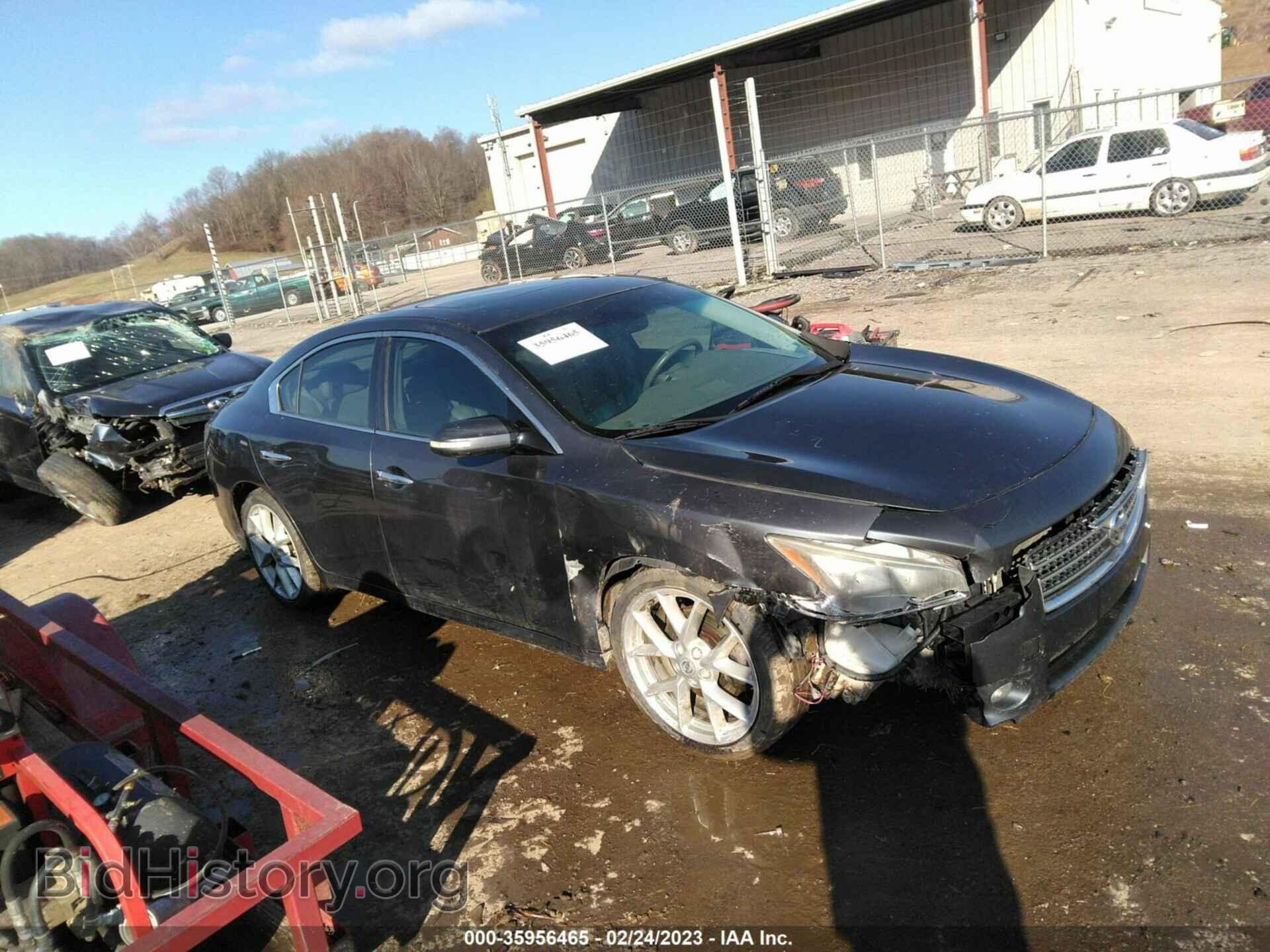 Photo 1N4AA51E59C827079 - NISSAN MAXIMA 2009