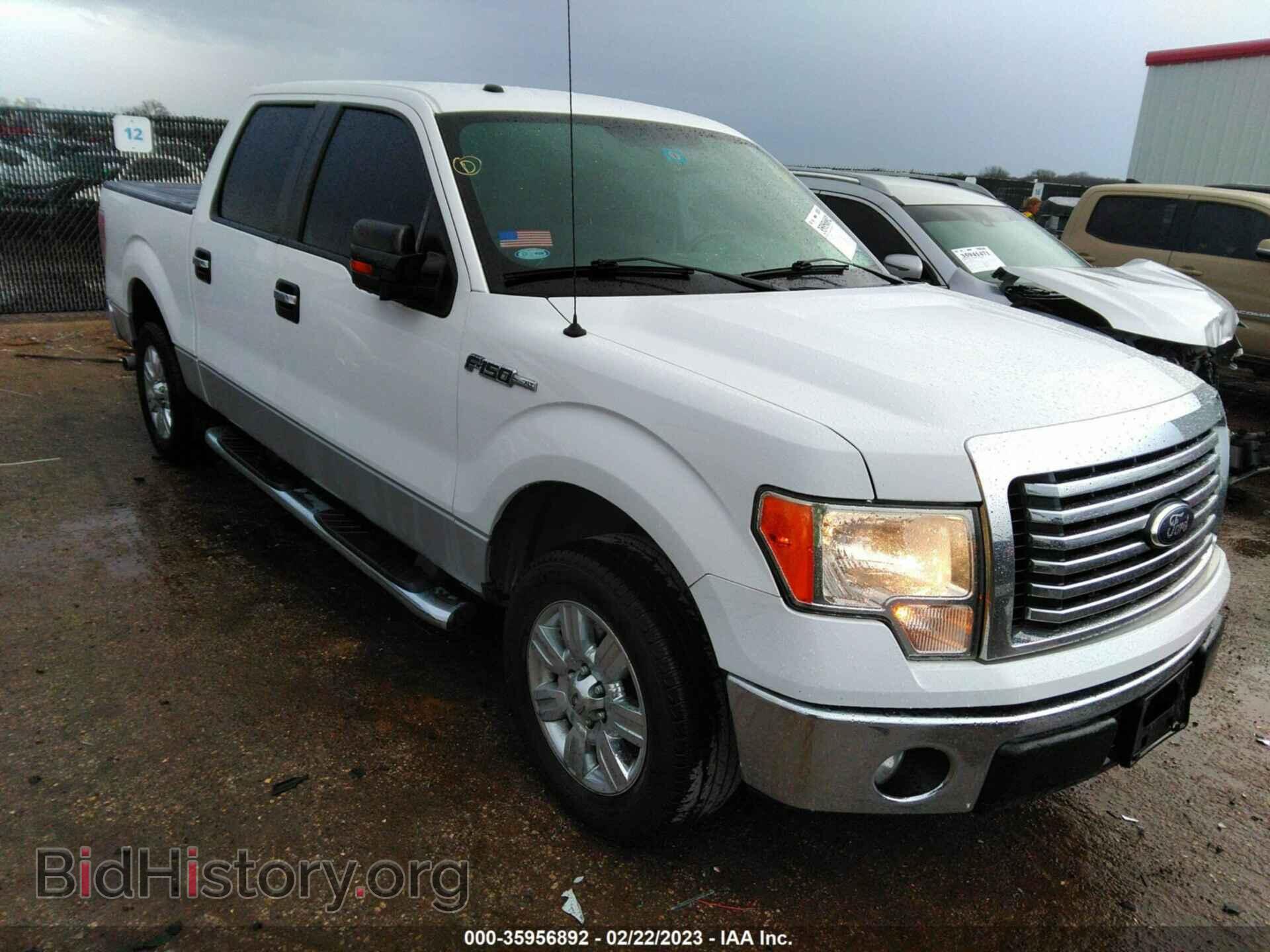 Фотография 1FTEW1CM8CKD42331 - FORD F-150 2012