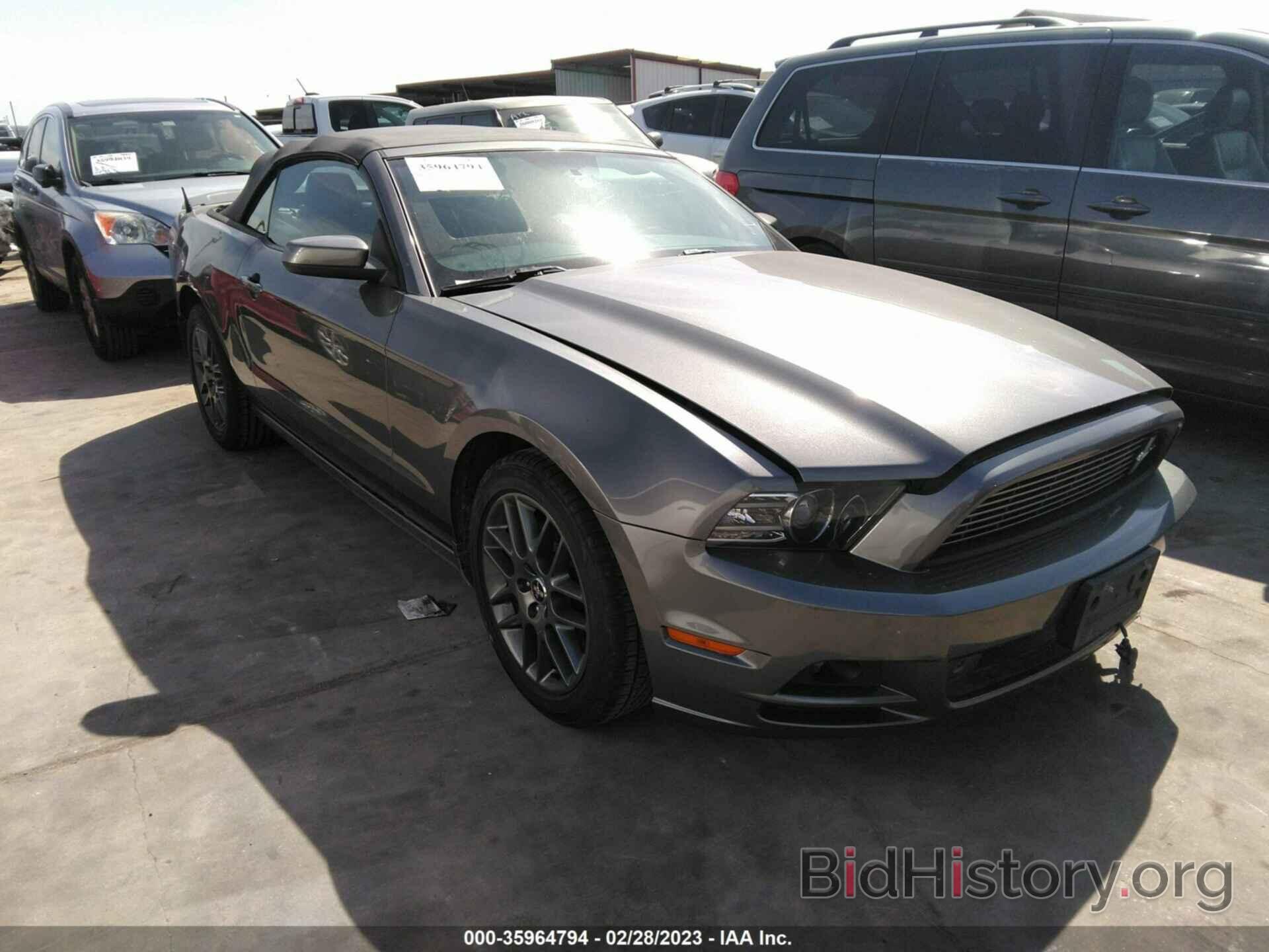 Photo 1ZVBP8EM8D5271683 - FORD MUSTANG 2013