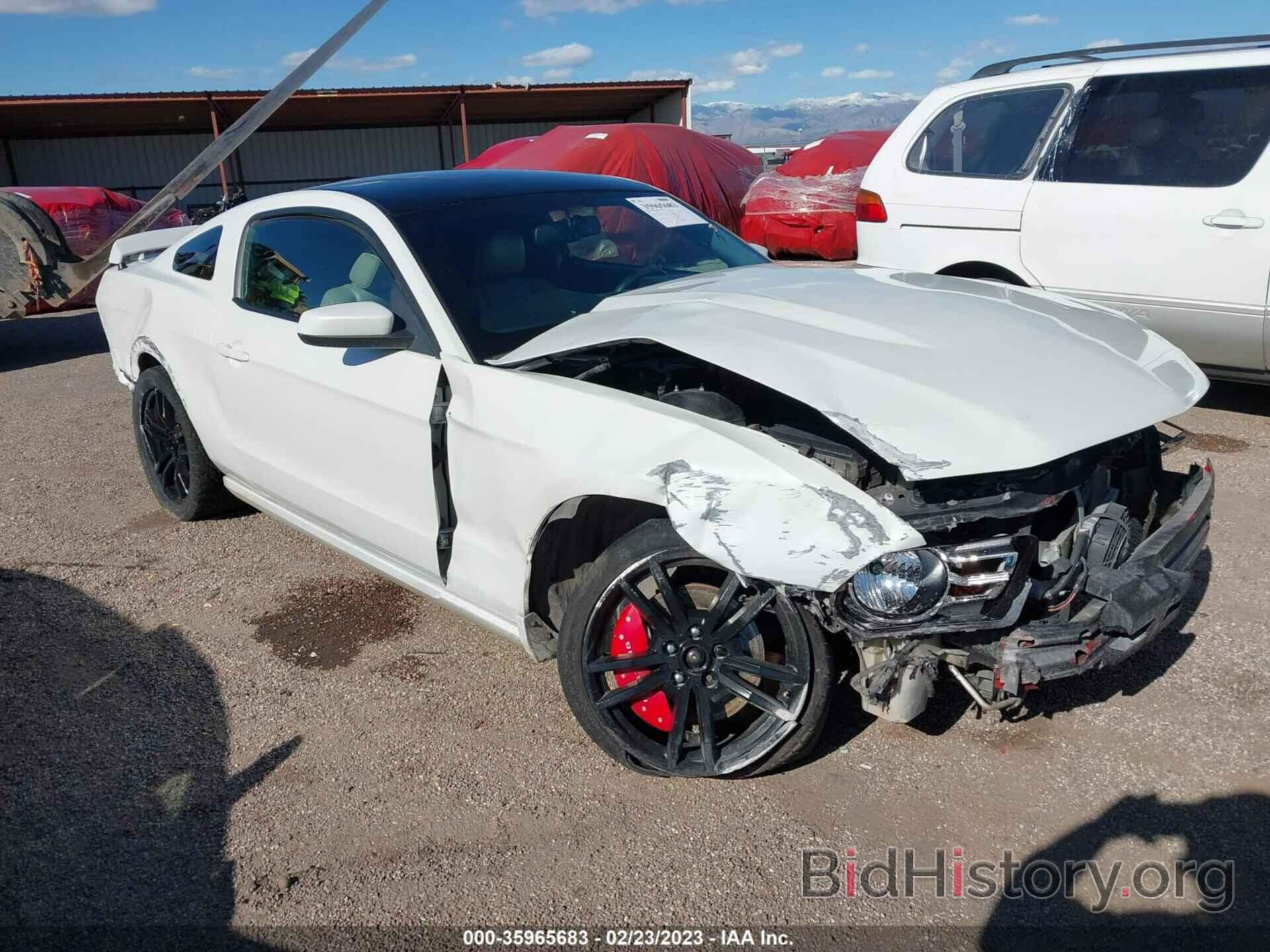 Photo 1ZVBP8AM3C5235467 - FORD MUSTANG 2012