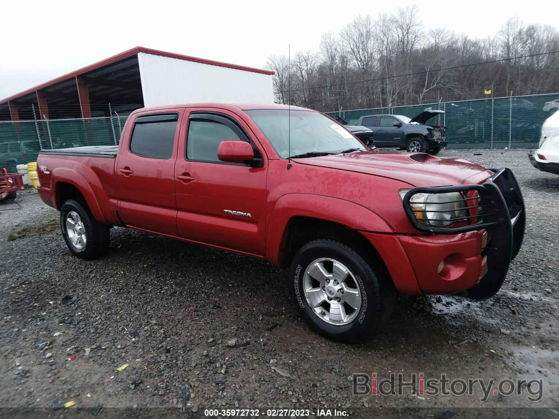 Photo 5TEMU52N89Z604226 - TOYOTA TACOMA 2009