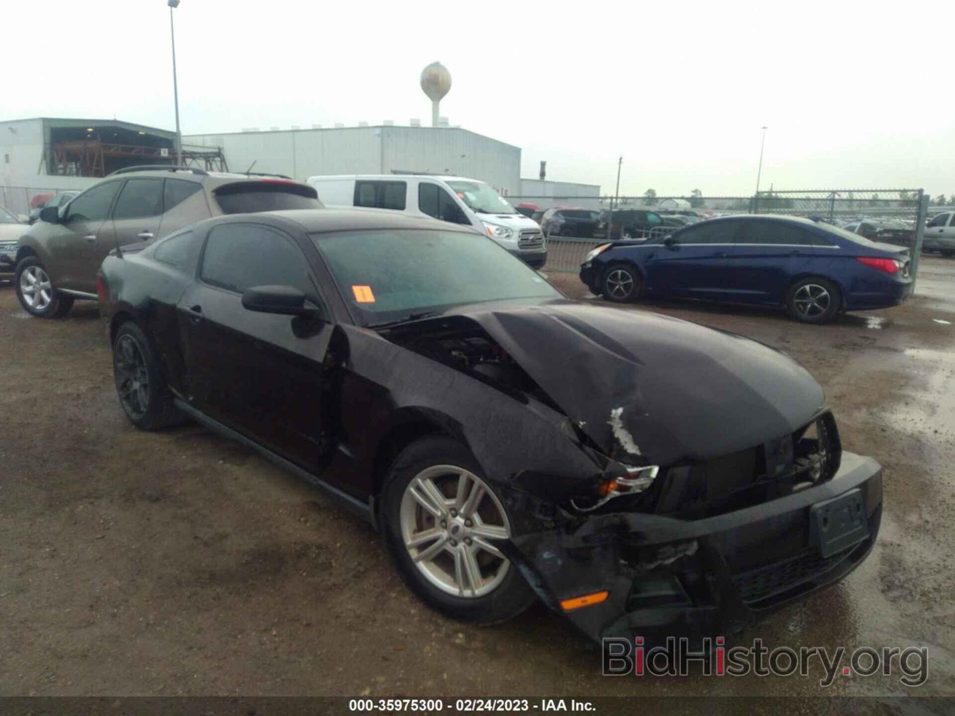 Photo 1ZVBP8AMXC5227169 - FORD MUSTANG 2012