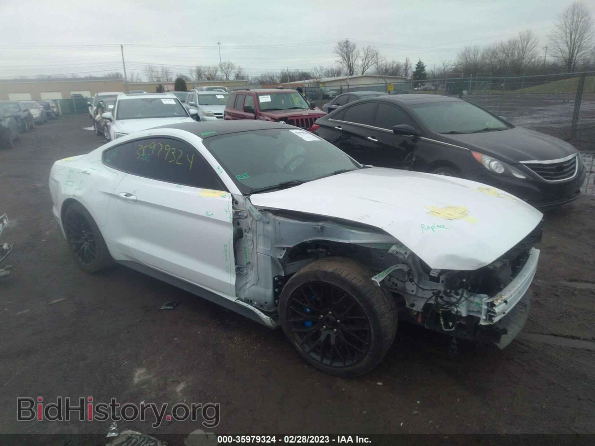 Photo 1FA6P8CF5K5117833 - FORD MUSTANG 2019