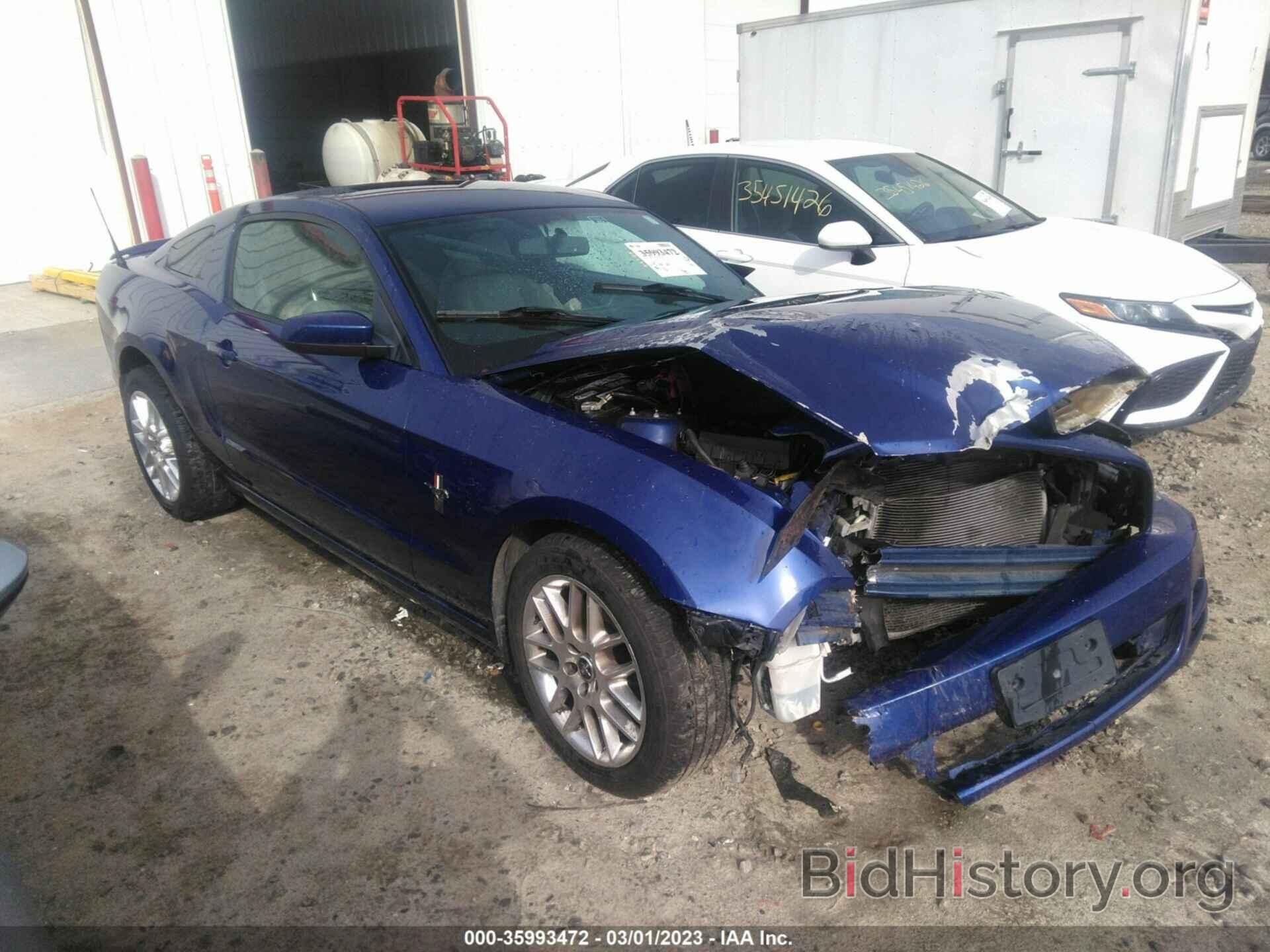 Photo 1ZVBP8AM3D5261360 - FORD MUSTANG 2013