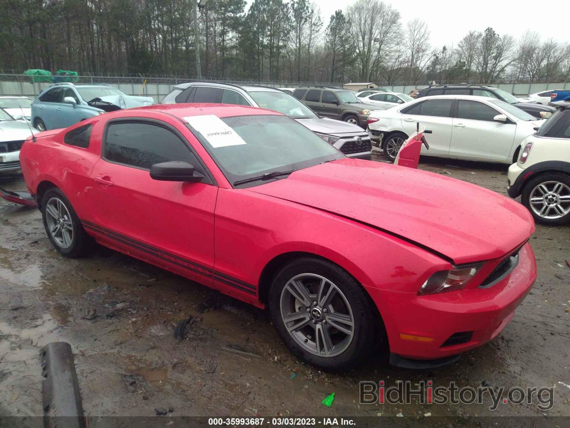 Photo 1ZVBP8AN7A5173514 - FORD MUSTANG 2010