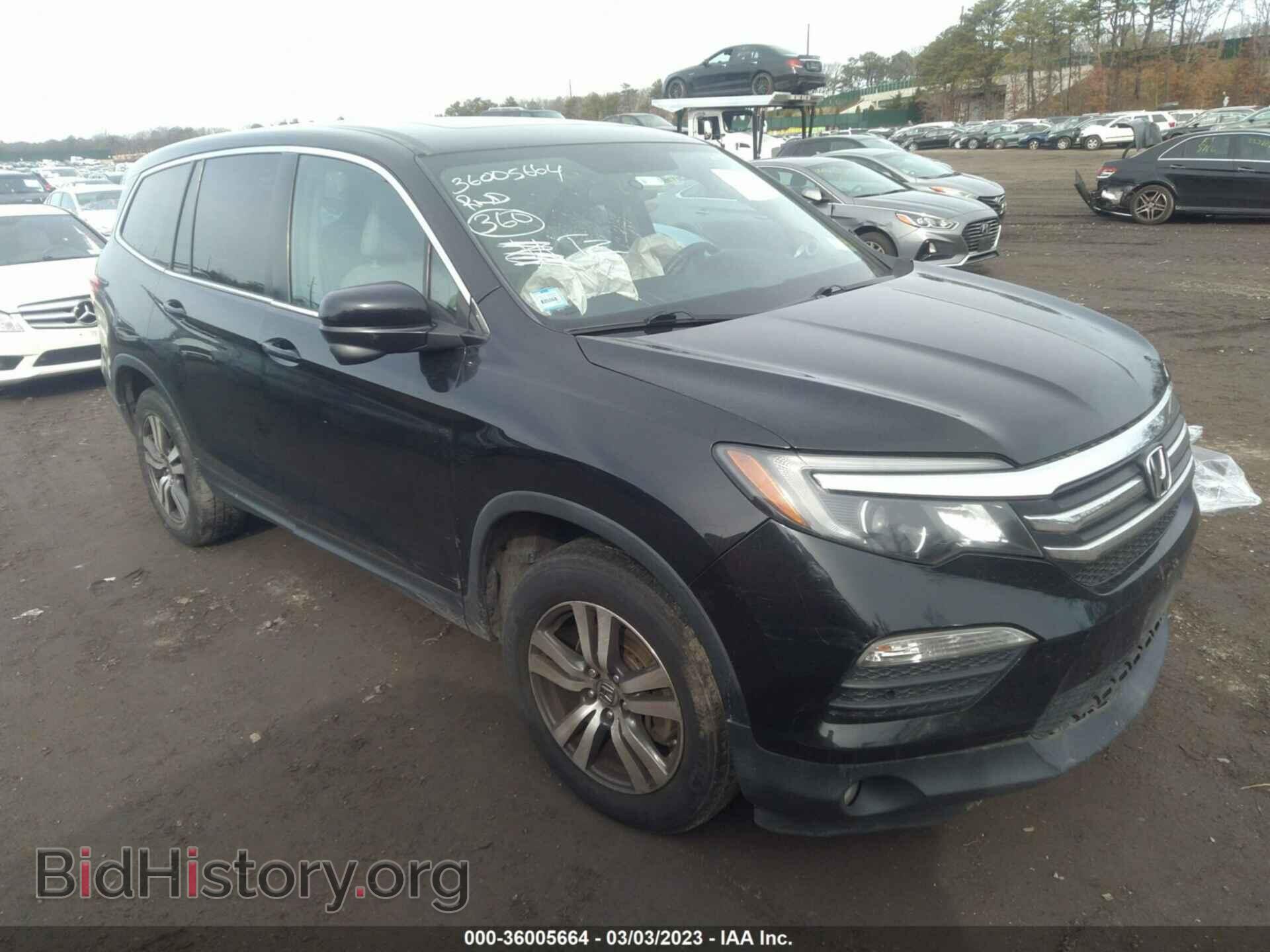 Photo 5FNYF6H51HB005192 - HONDA PILOT 2017