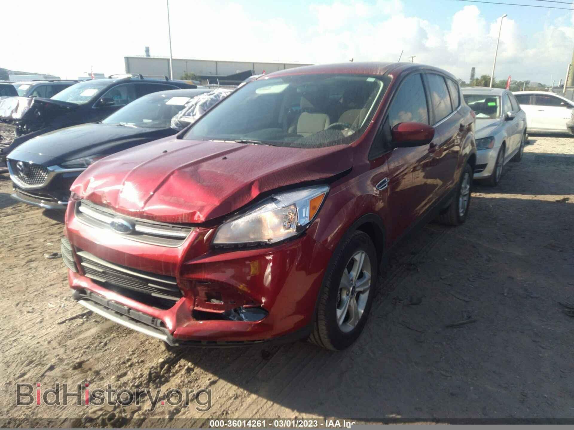 2014 FORD ESCAPE - VIN: 1FMCU0G9XEUD98769 - Фото 2