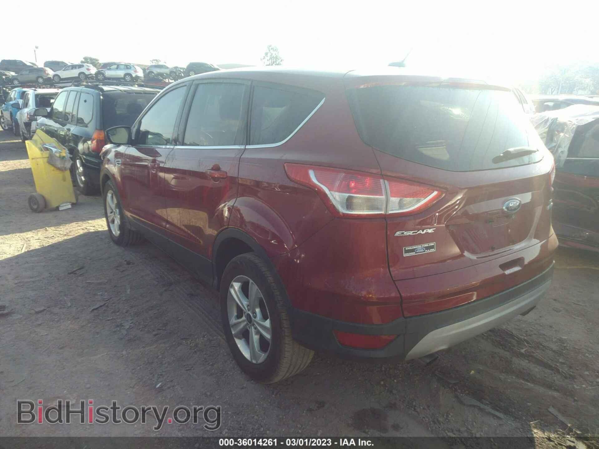 2014 FORD ESCAPE - VIN: 1FMCU0G9XEUD98769 - Фото 3