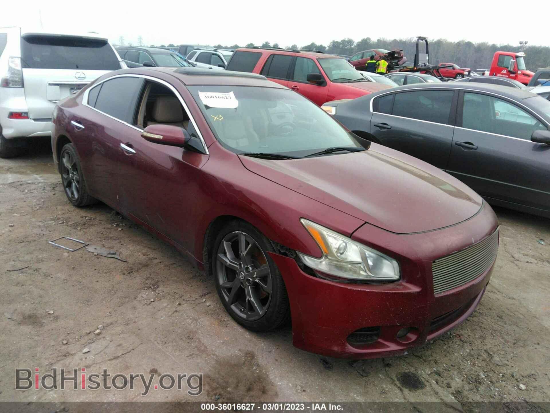 Фотография 1N4AA5AP1DC836033 - NISSAN MAXIMA 2013