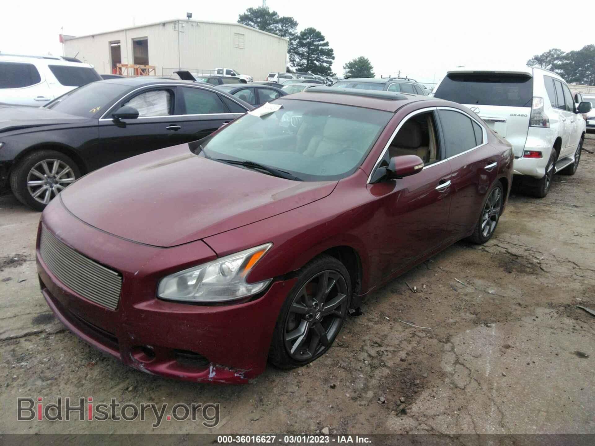 2013 NISSAN MAXIMA - VIN: 1N4AA5AP1DC836033 - Фото 2