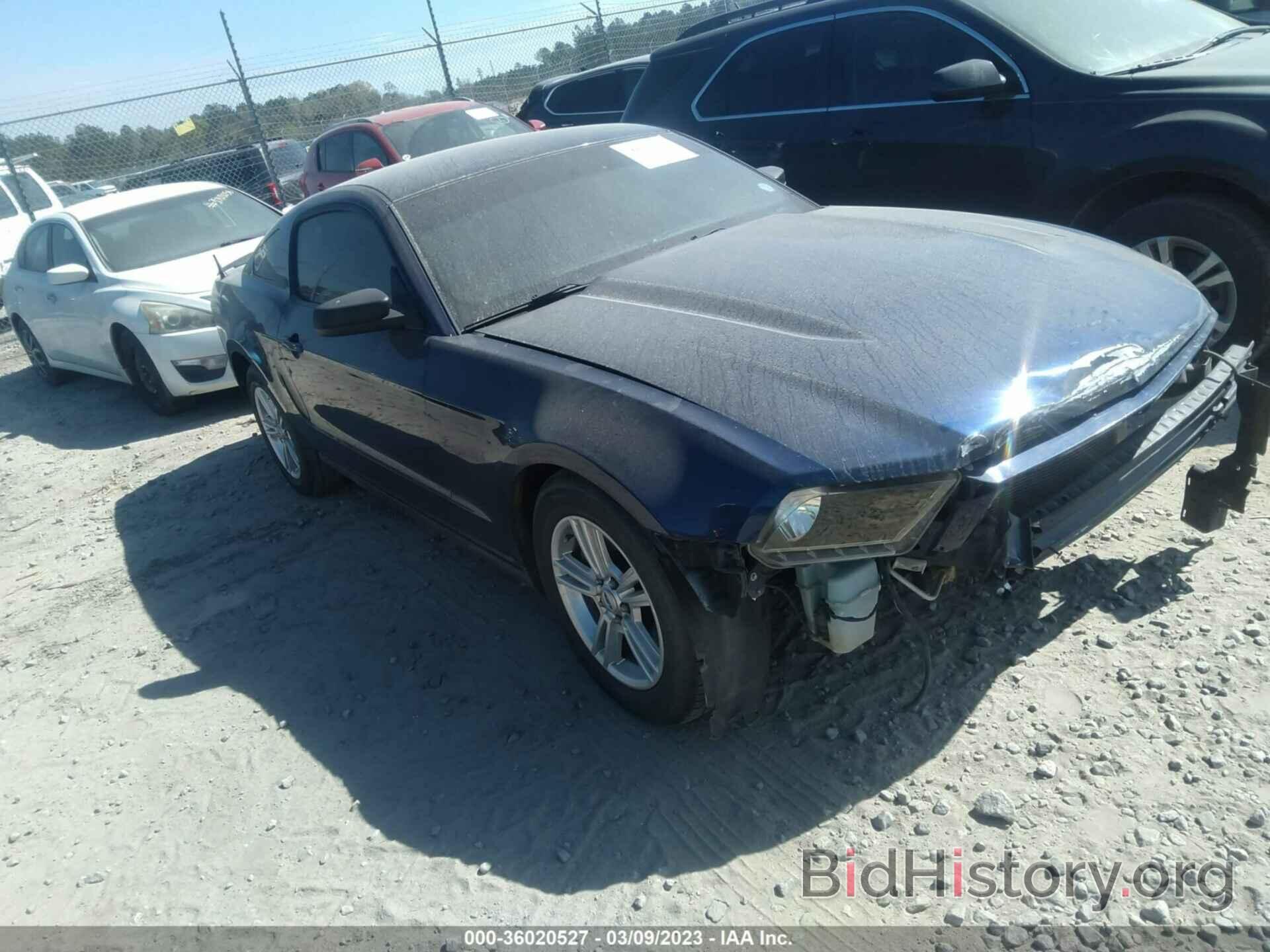 Photo 1ZVBP8AM5C5280782 - FORD MUSTANG 2012